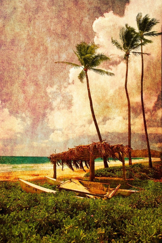 Paradise Resort #2