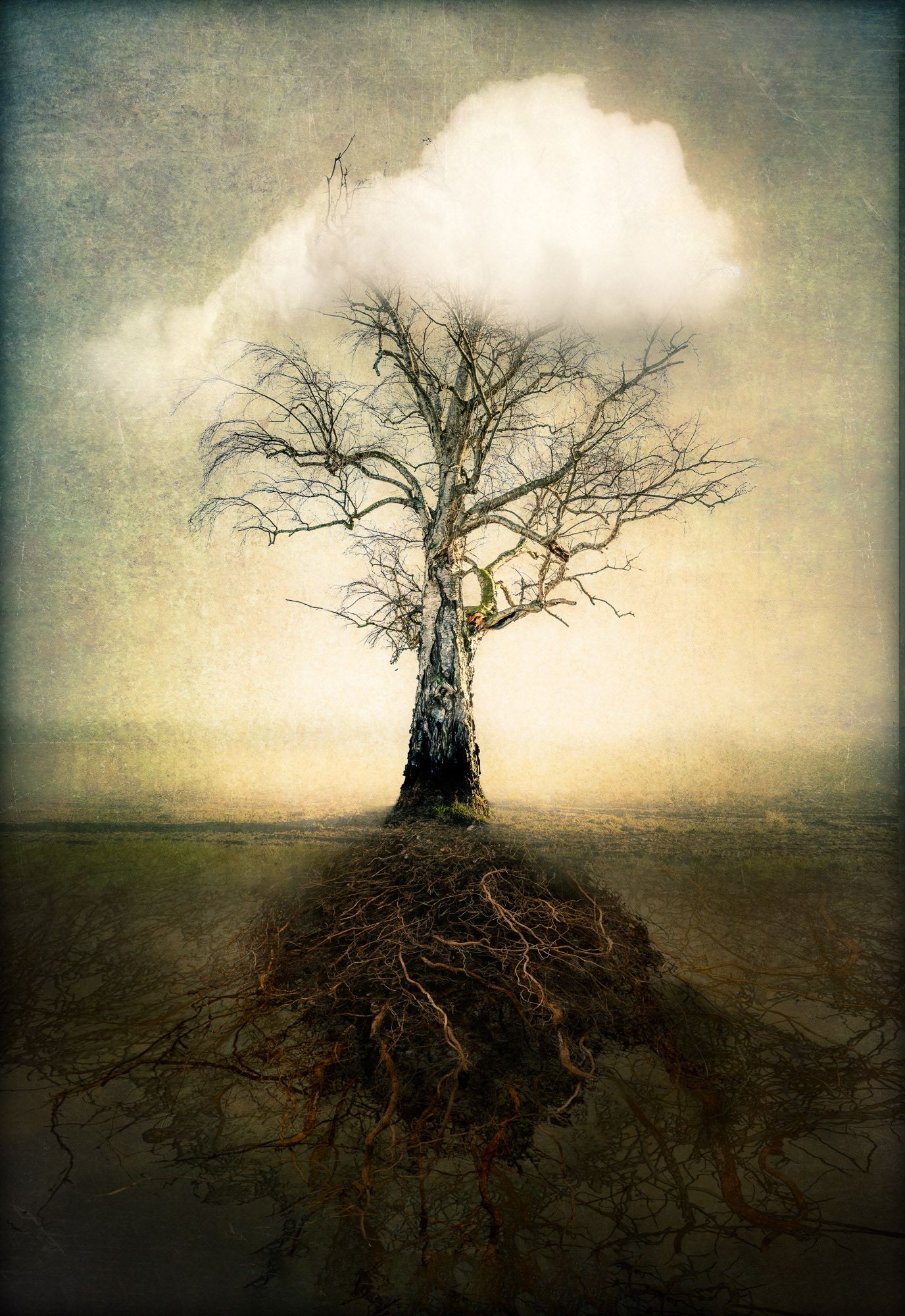 Between the Margins