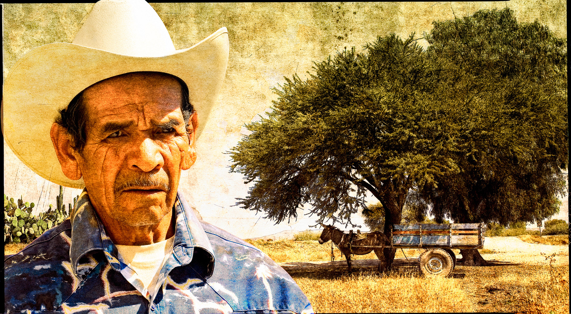 Granjero