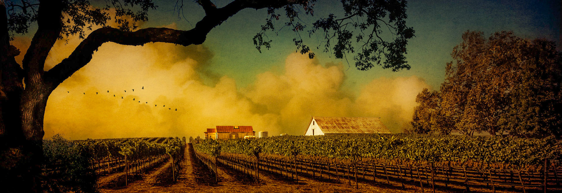 Harvest Light