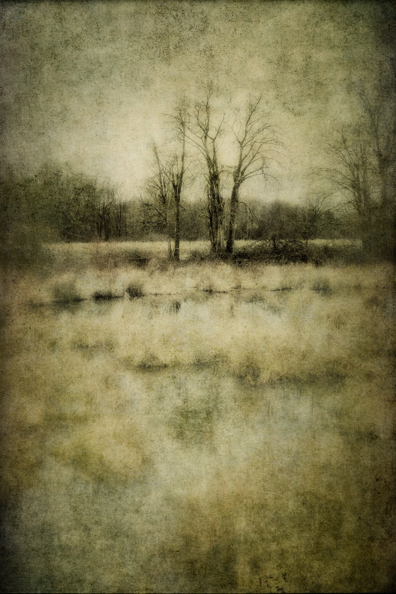 Winters Reflection