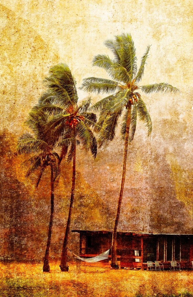 Paradise Resort #1