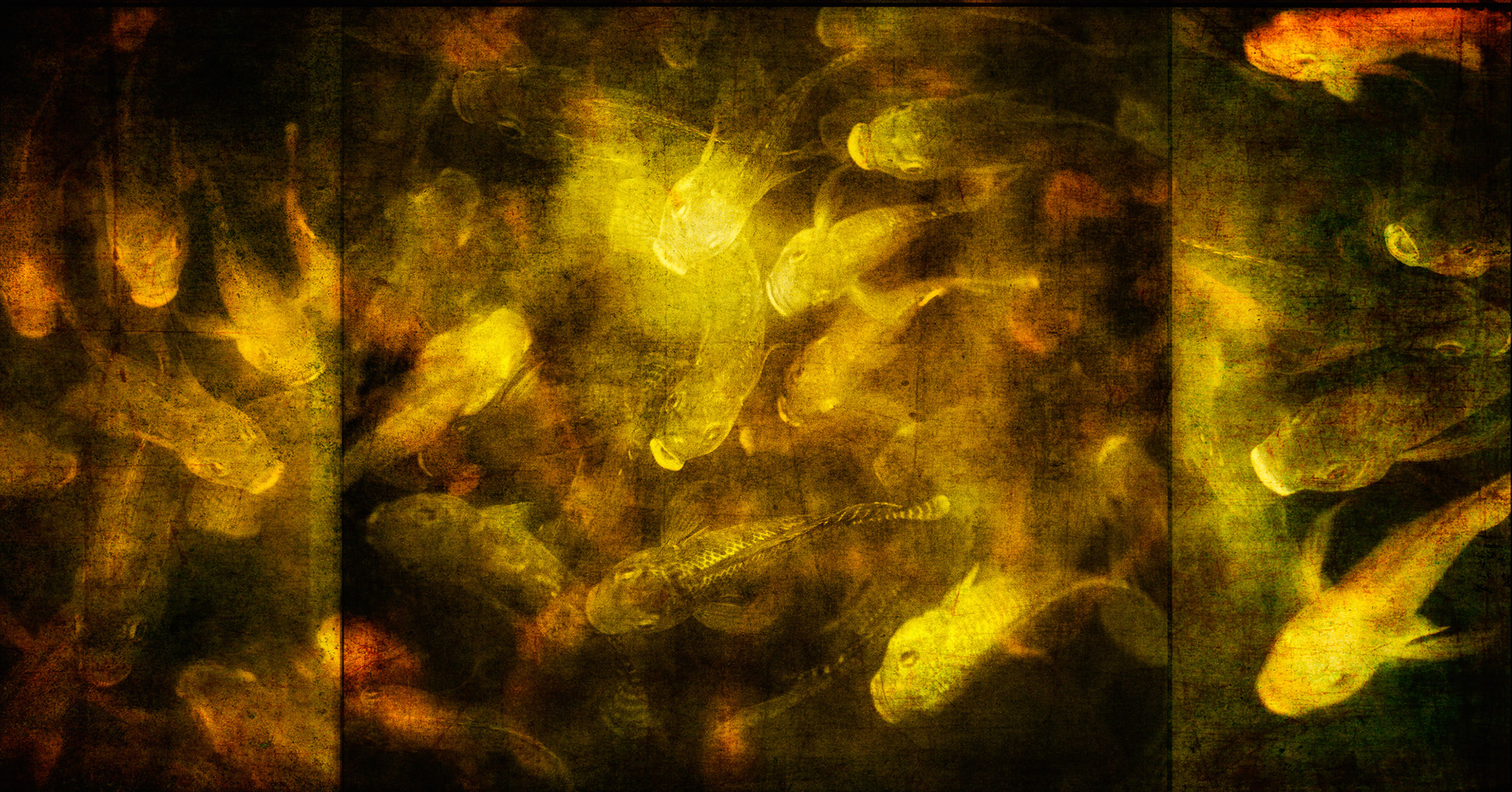 Turbulent Grace
