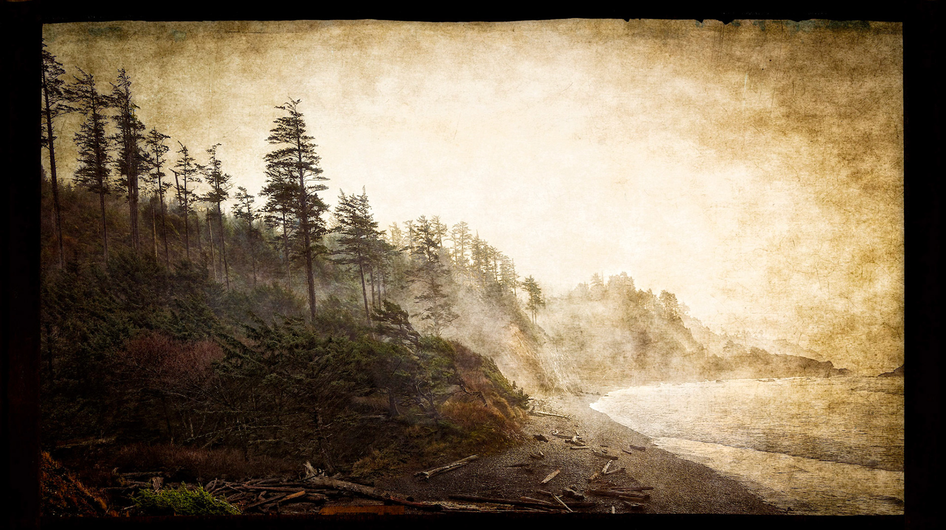 Fogbound Beach