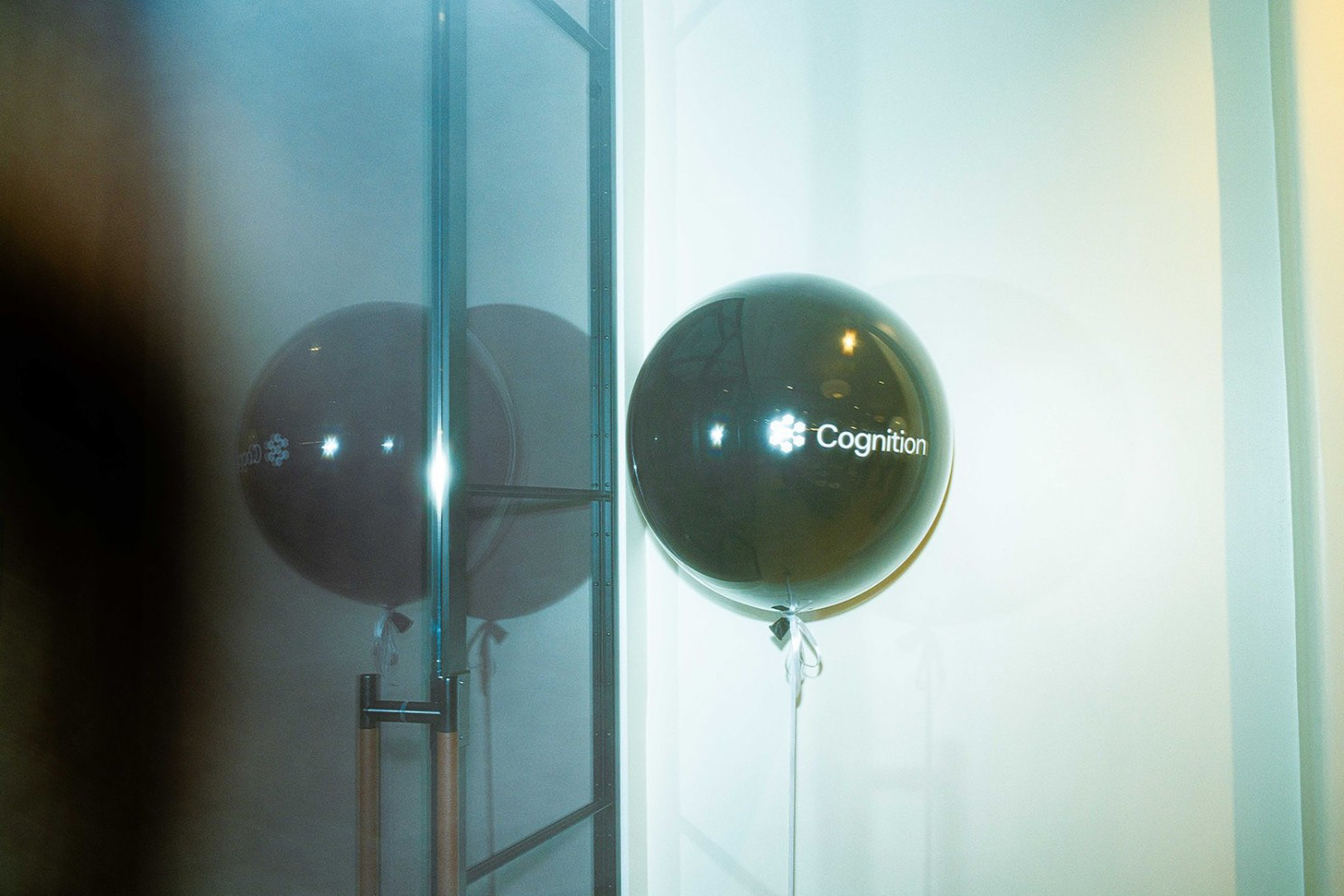Party balloons photographed on 35mm film; balloons have the "Cognition" logo on them