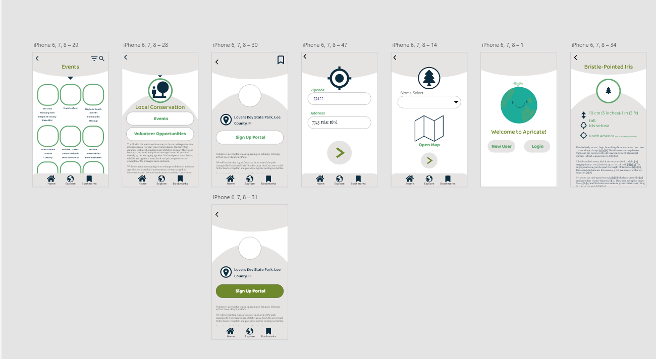 Initial Wireframes