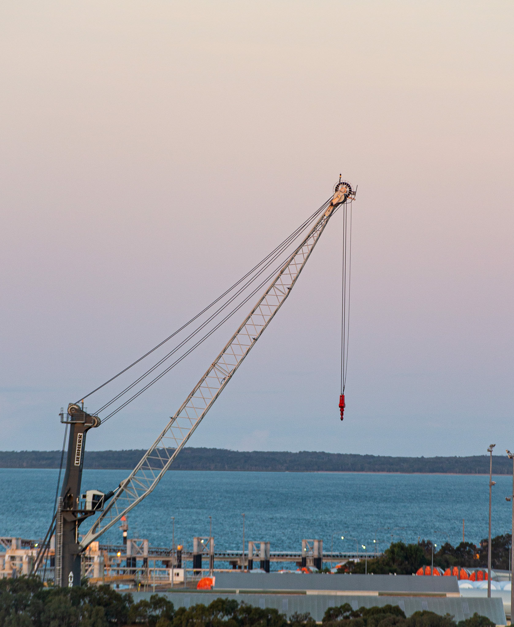 Crane