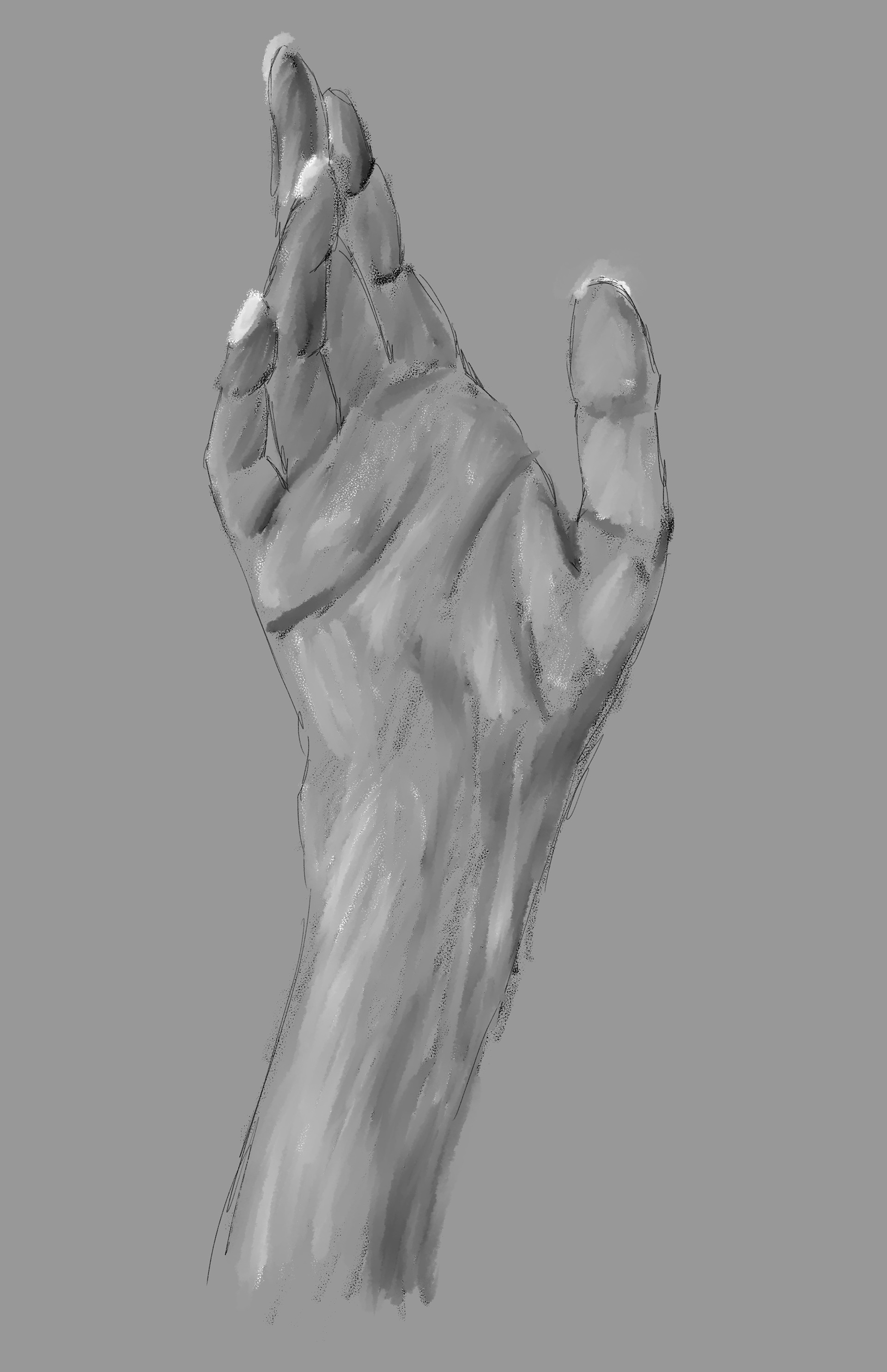 Hand Study