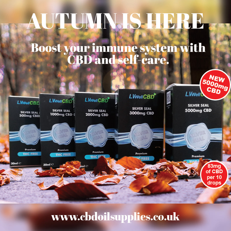 Autumn promotion