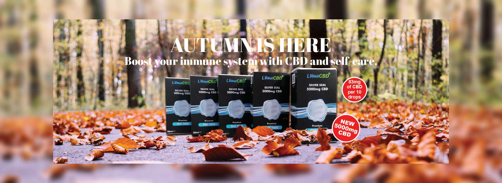 Custom Banner Showcasing Product