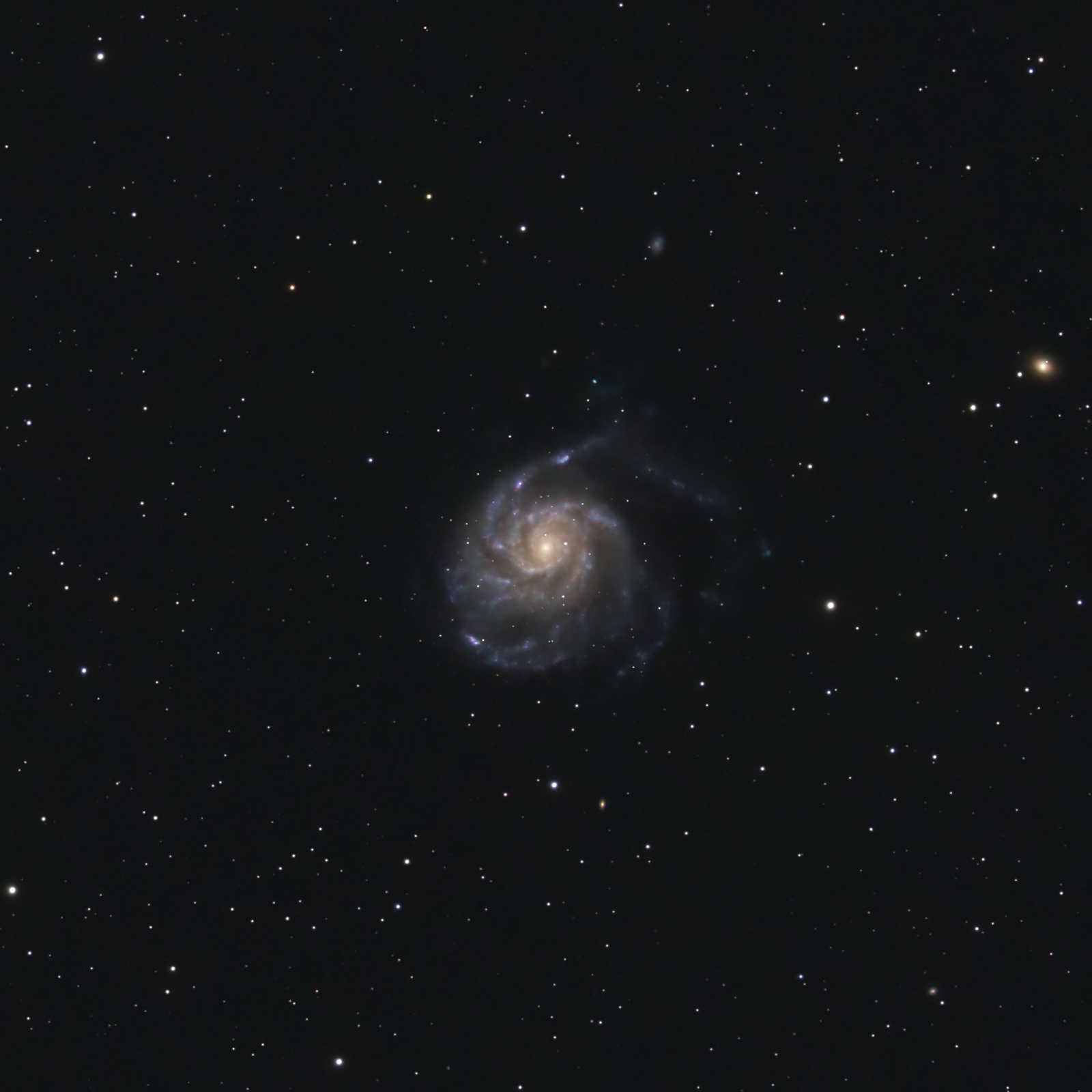 Pinwheel Galaxy - M101 (RGB)