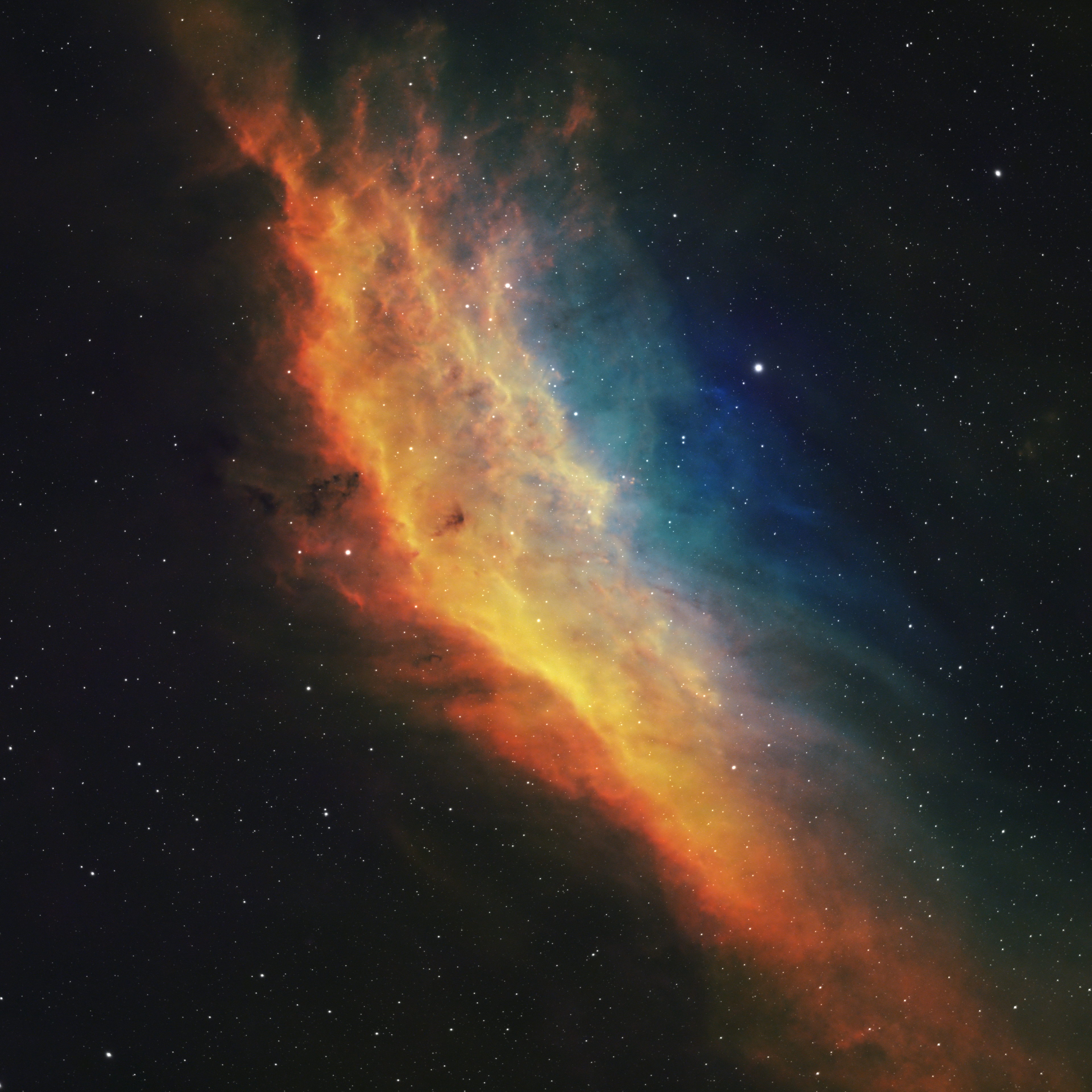 California Nebula - NGC1499 (SHO)