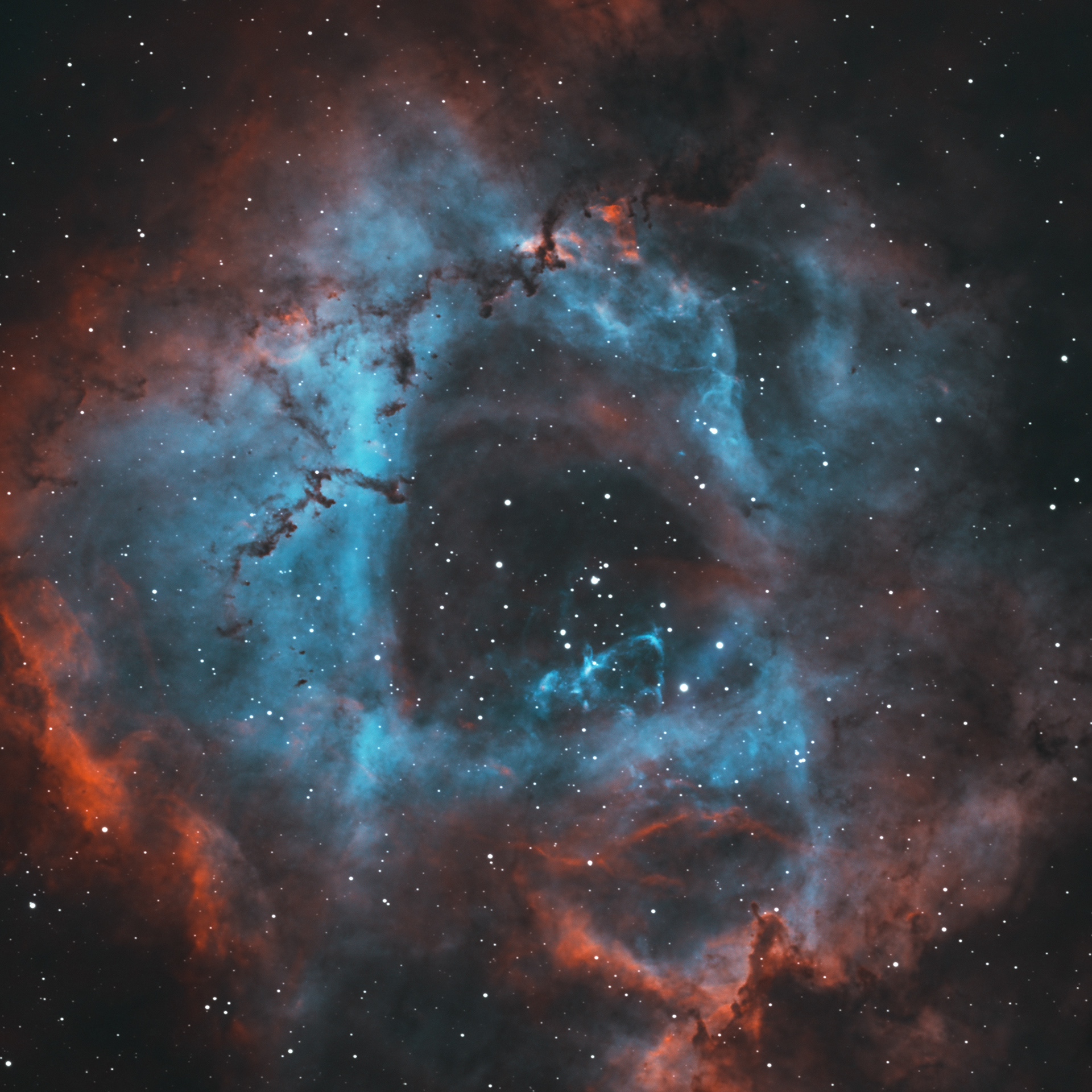 Rosette Nebula - NGC2242 (HOO)