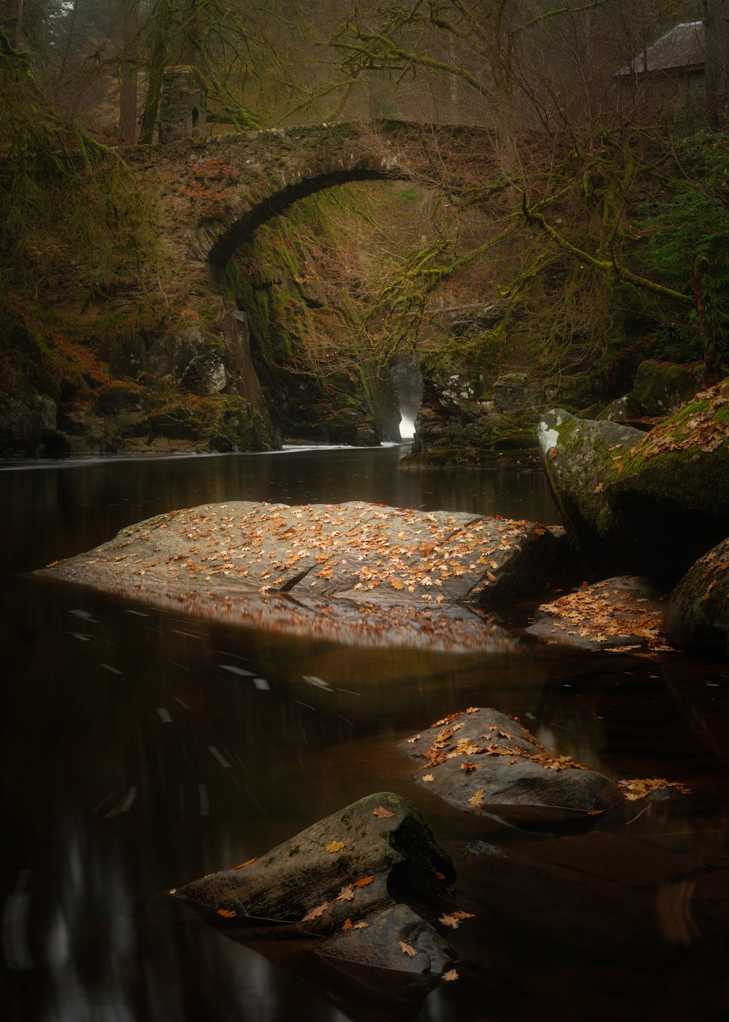 Hermitage bridge - low water