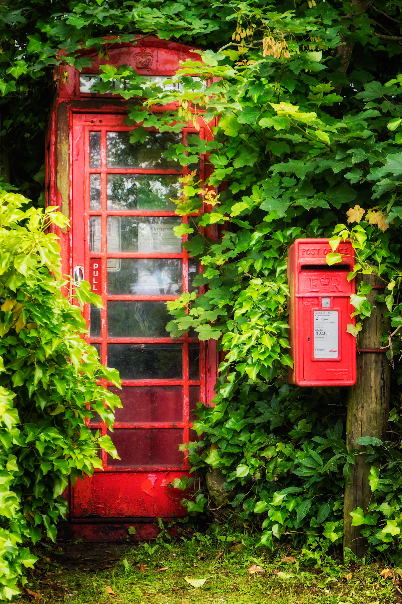 Nature reclaims old technology