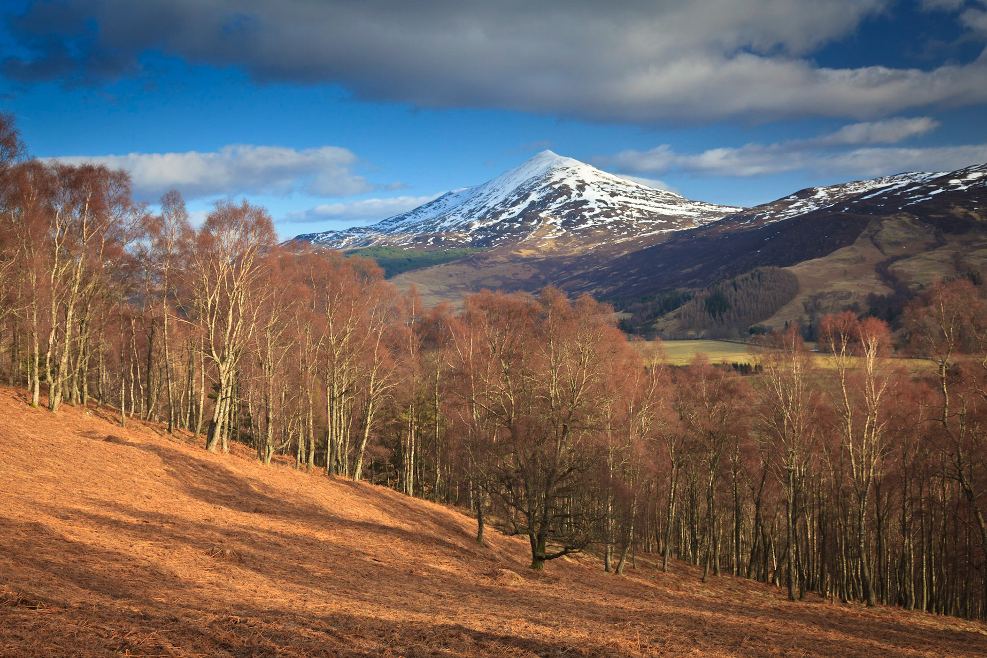 Schiehallion Spring