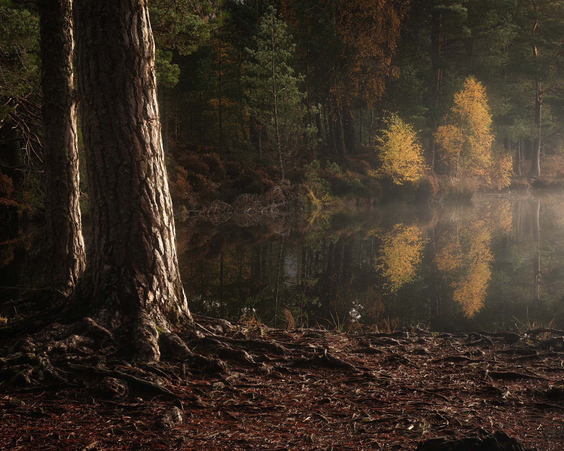 Cairngorm Autumn 2025 No 1