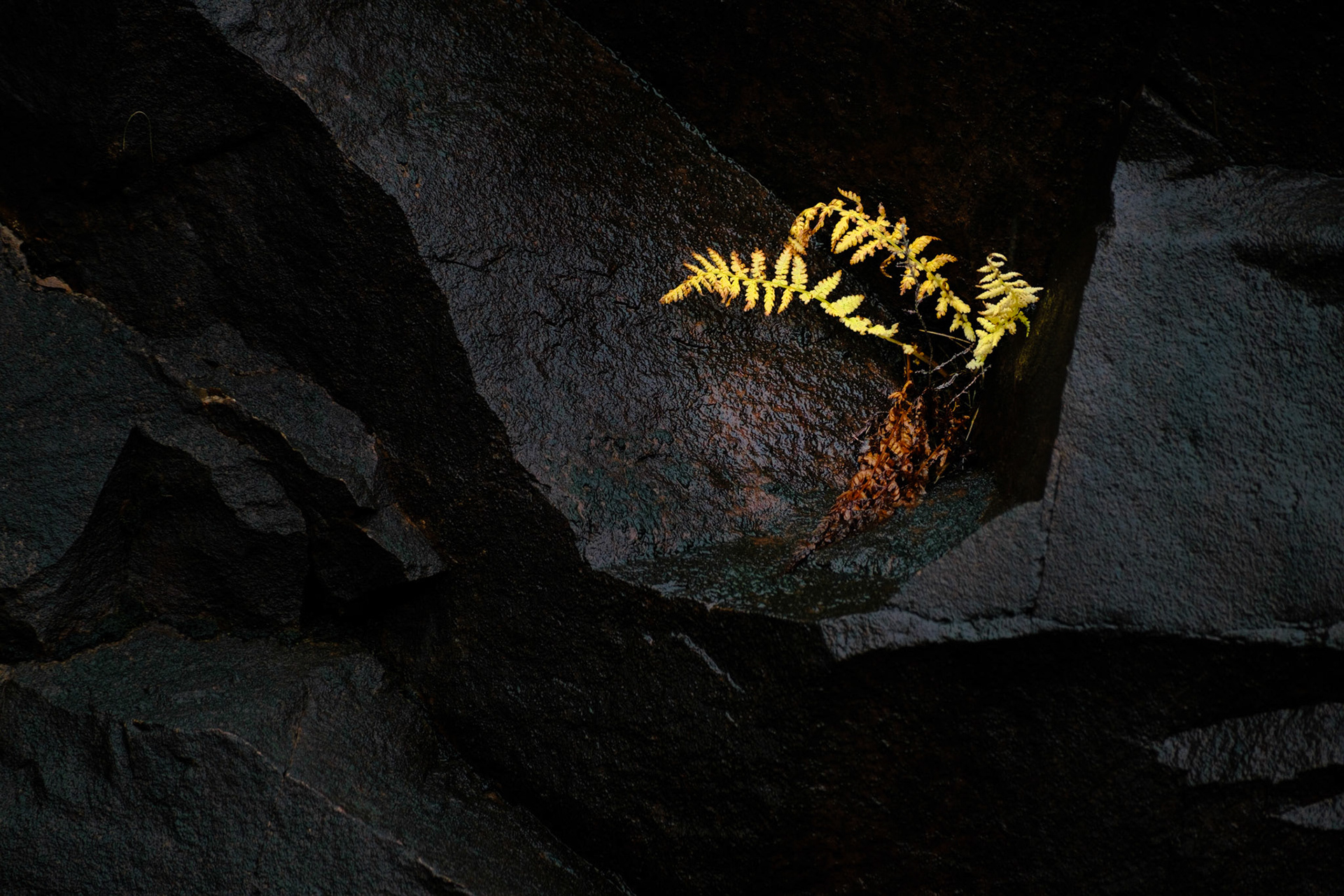 Between a rock and a hard place