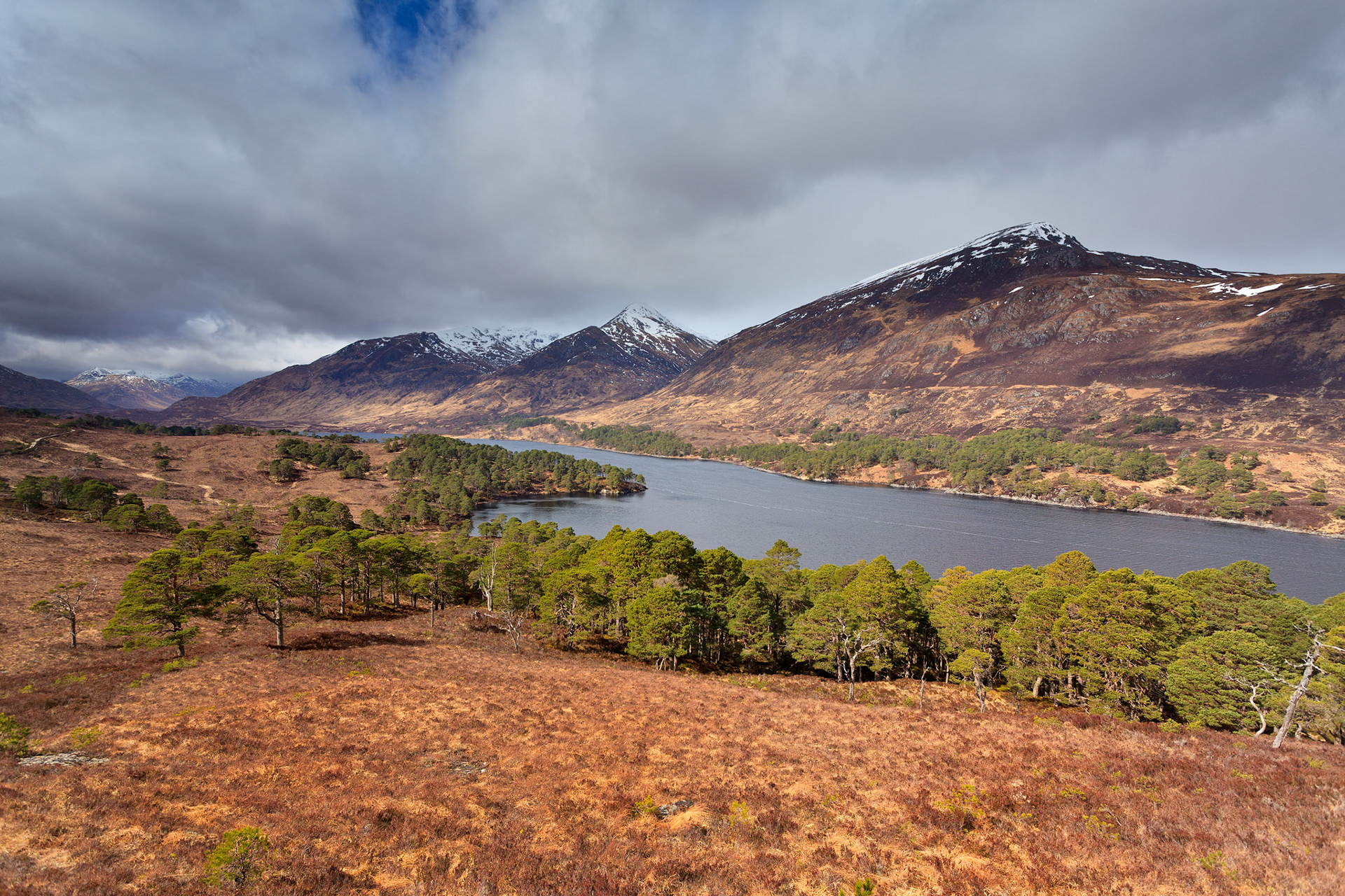 Glen Affric
