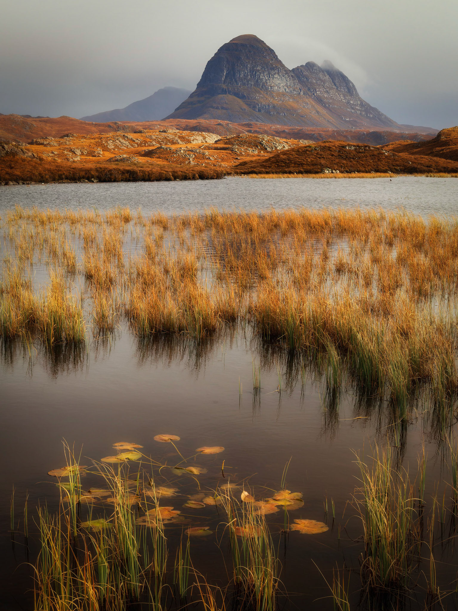 Suilven and lilies