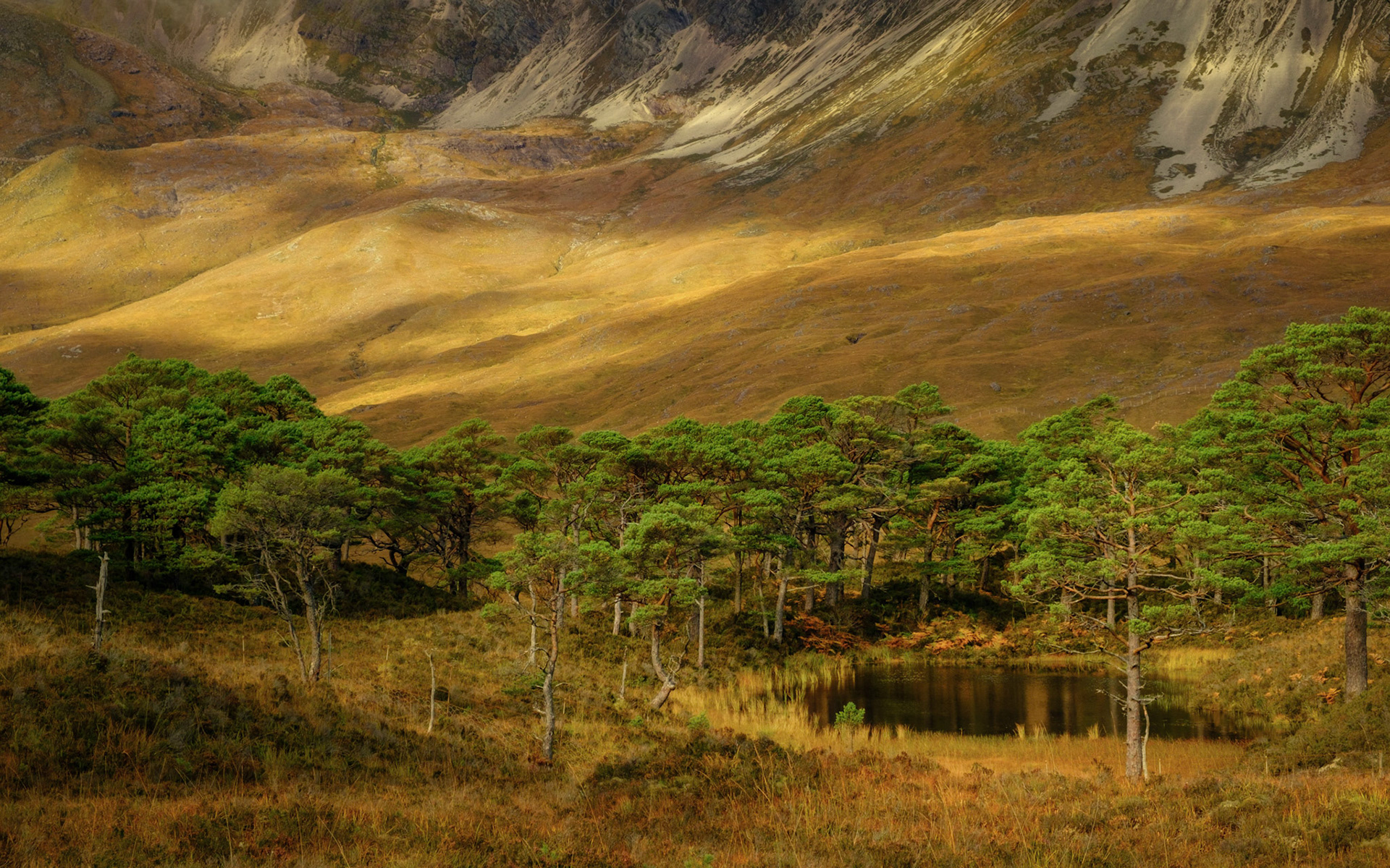 Tiny Torridon lochan