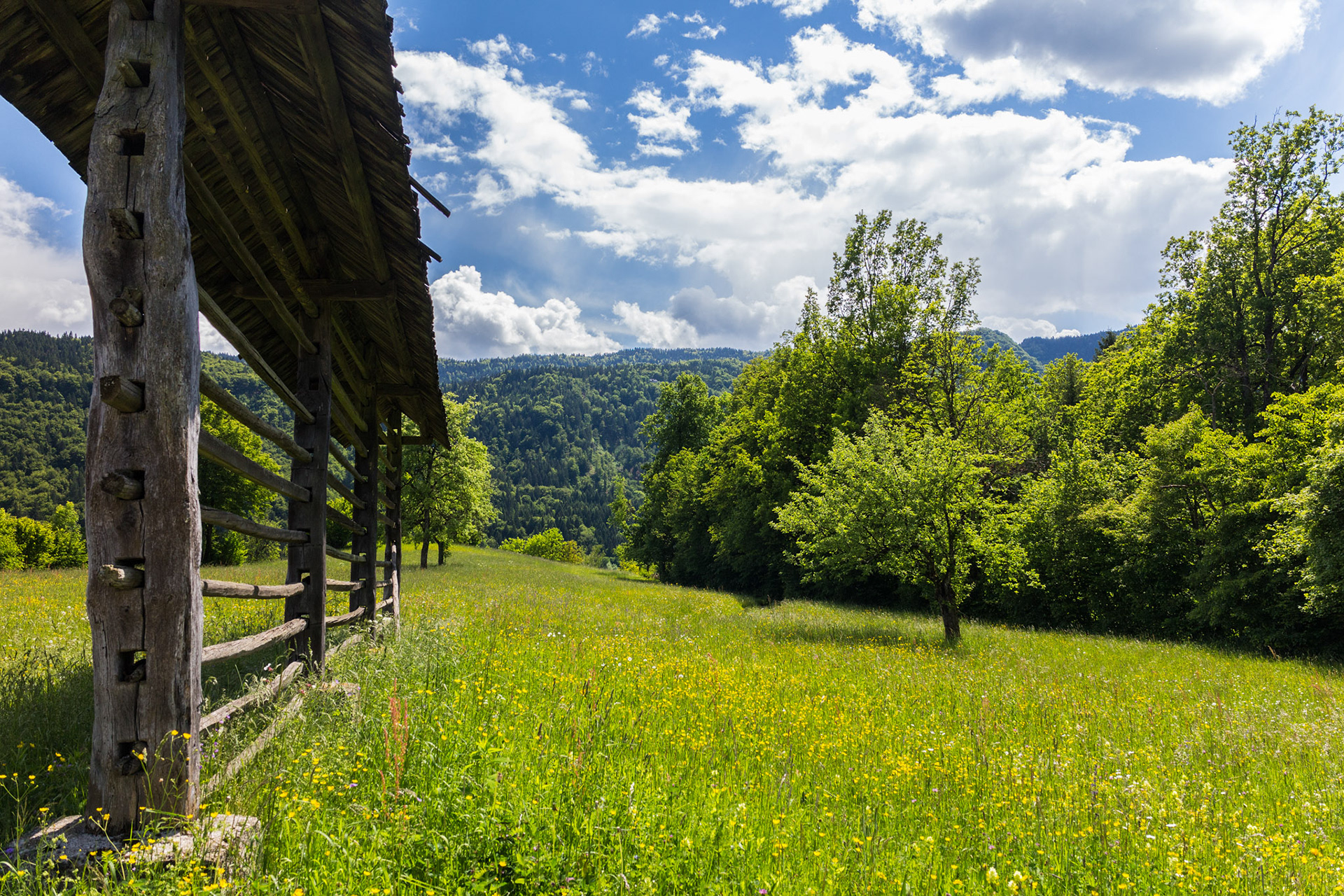 Hay drying racks - Slovenia