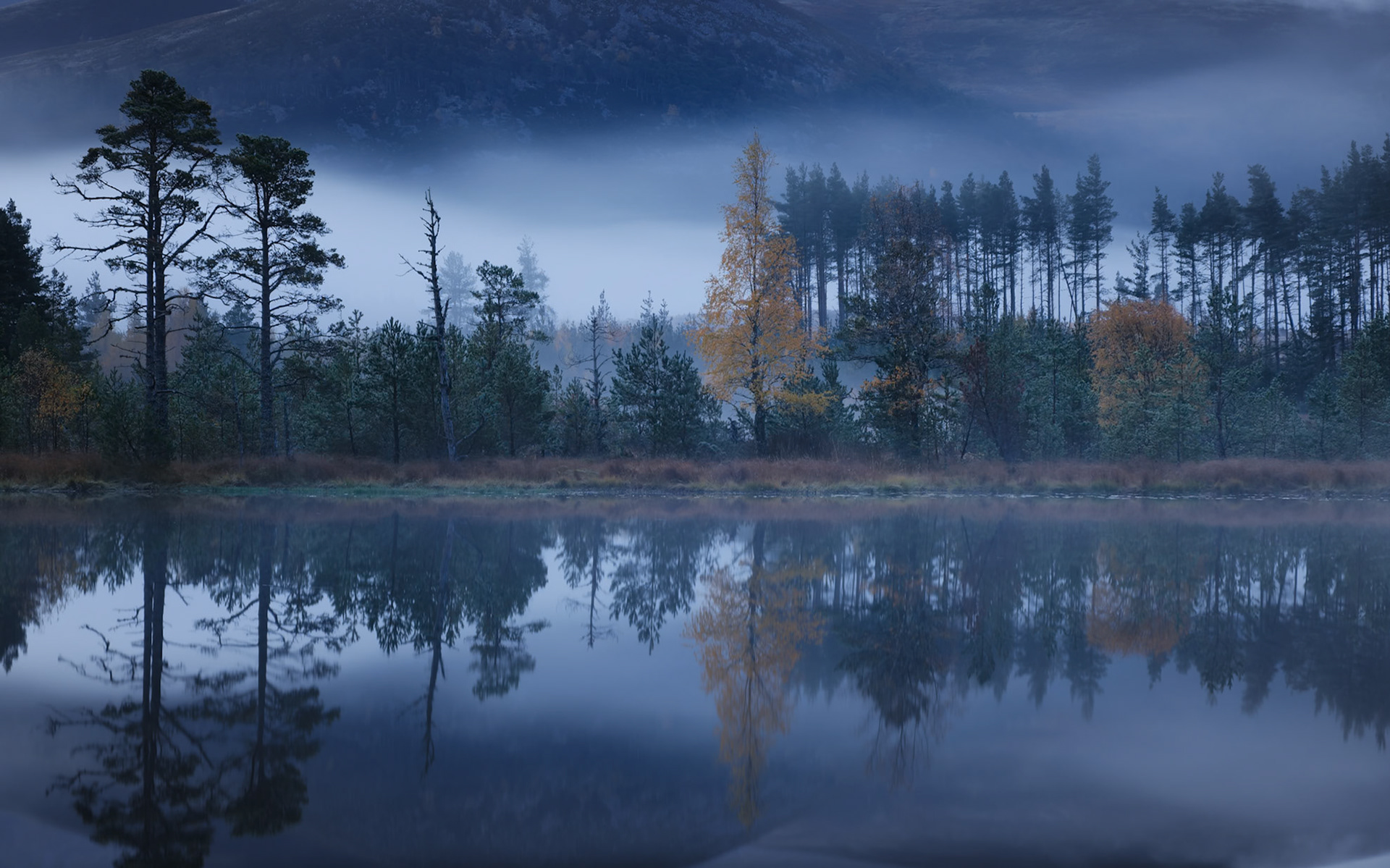 Cairngorm Autumn 2025 No 4