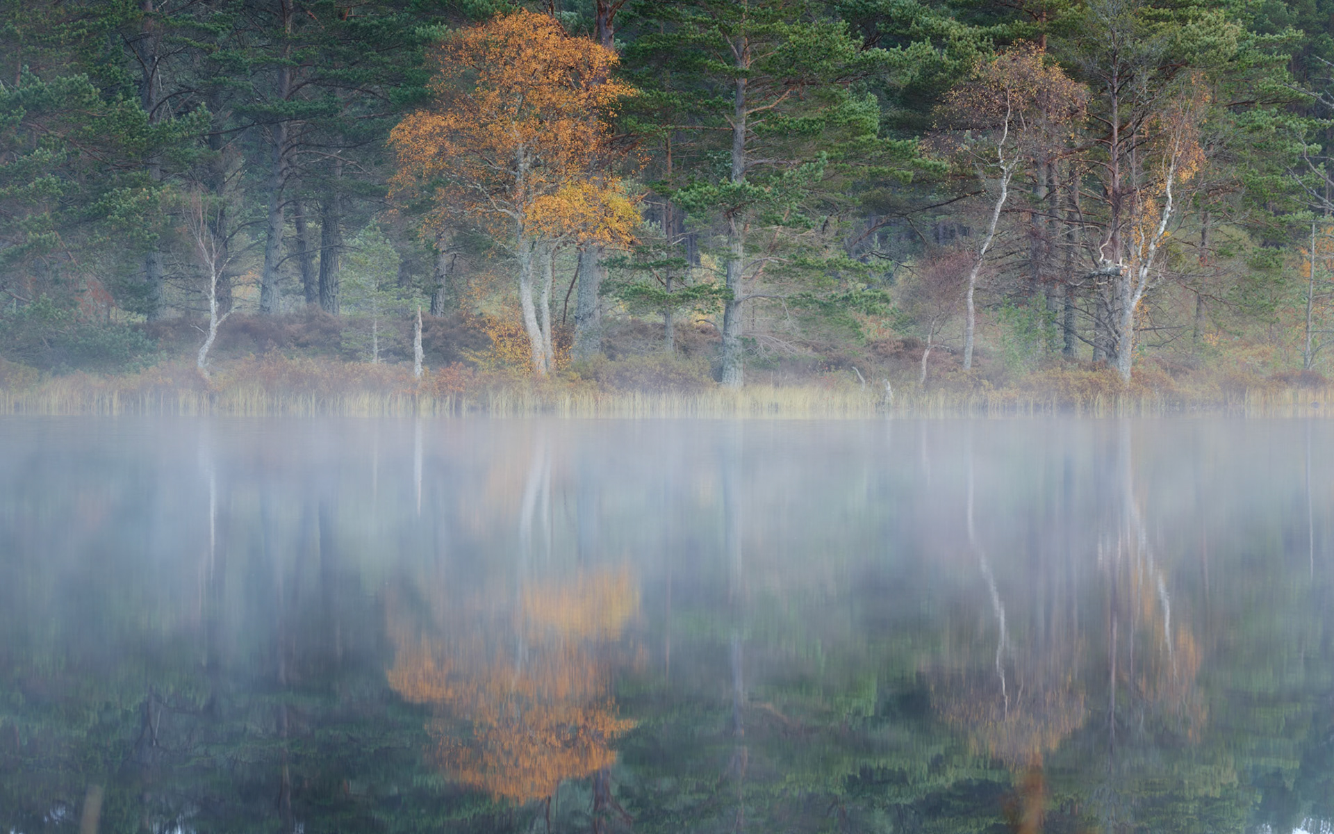 Cairngorm Autumn 2025 No 2