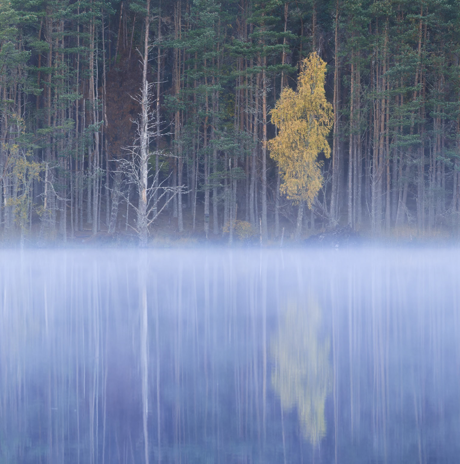 Cairngorm Autumn 2025 No 3