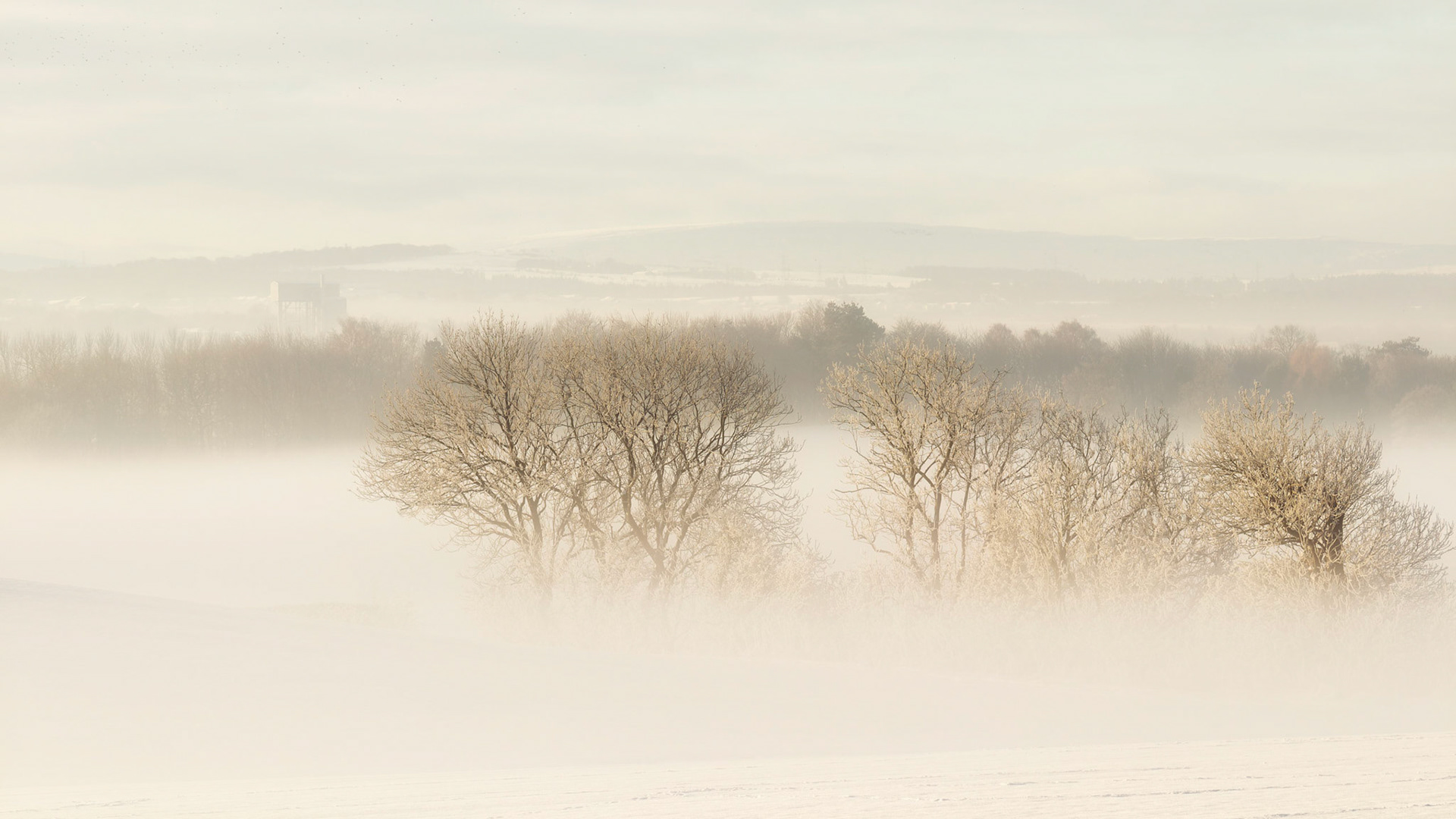 Snow fields of Kirkliston
