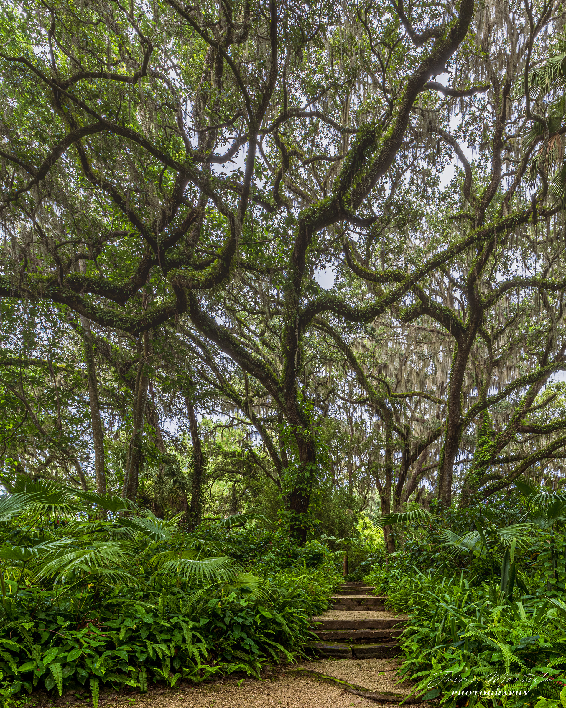 St. Leo, FL
