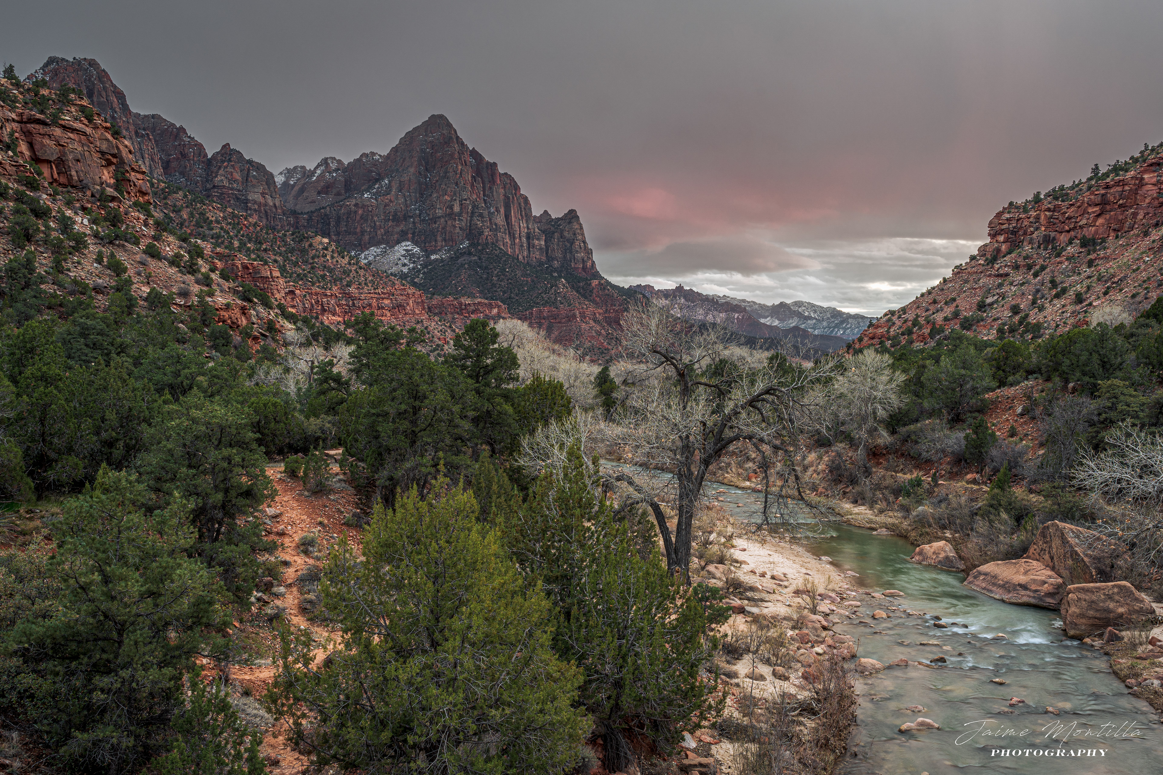 The Watchman