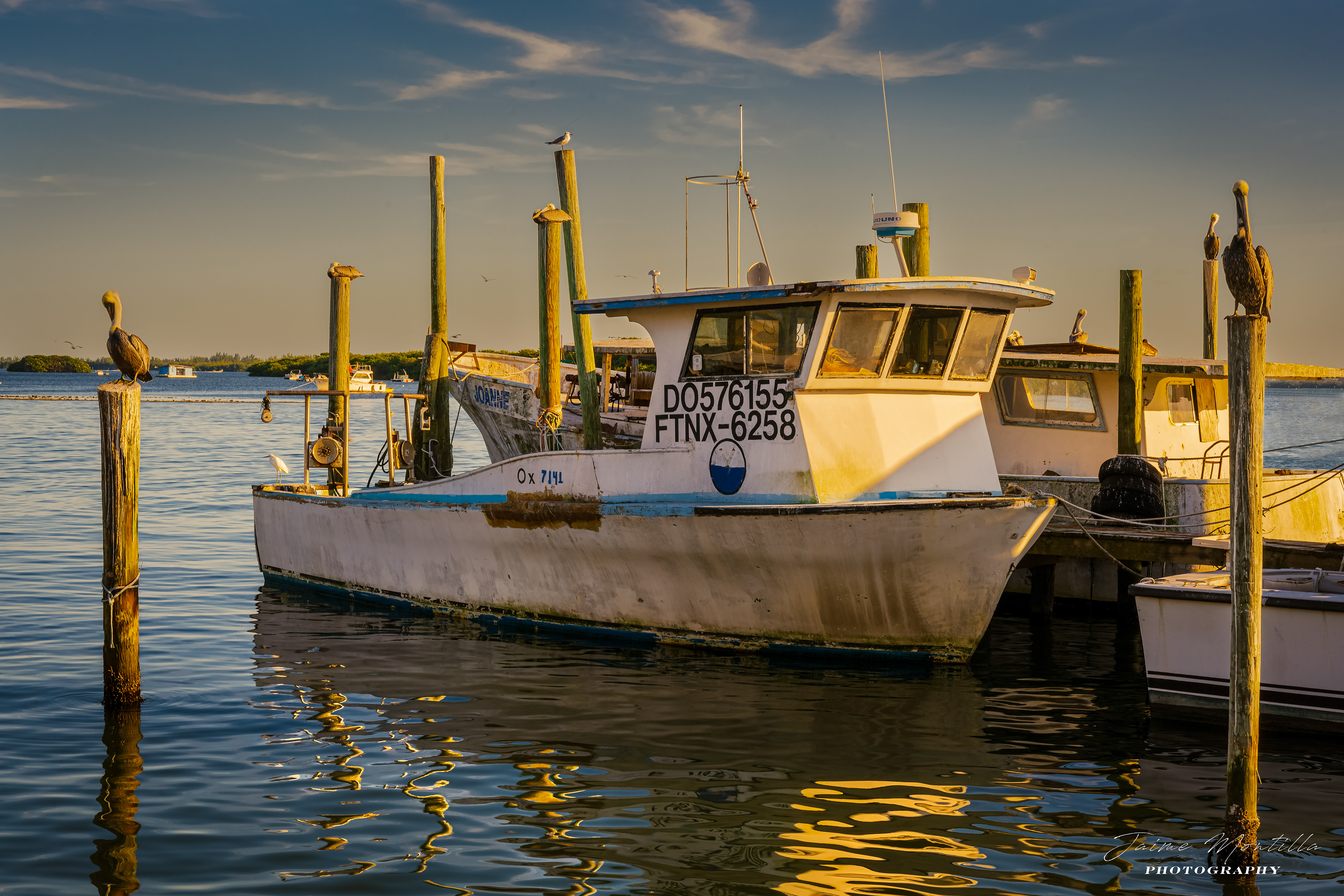 Cortez, FL