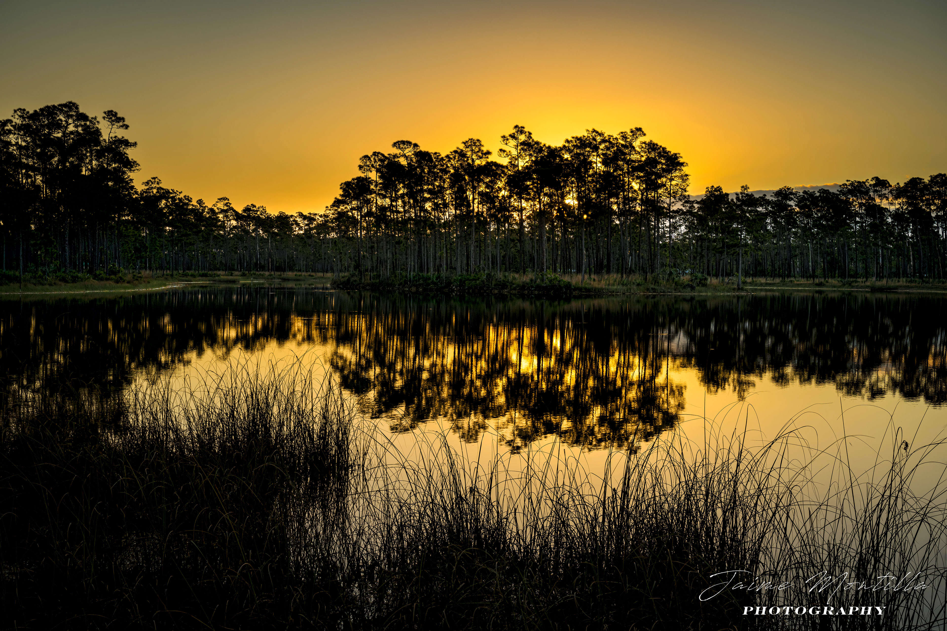 Long Pine Key