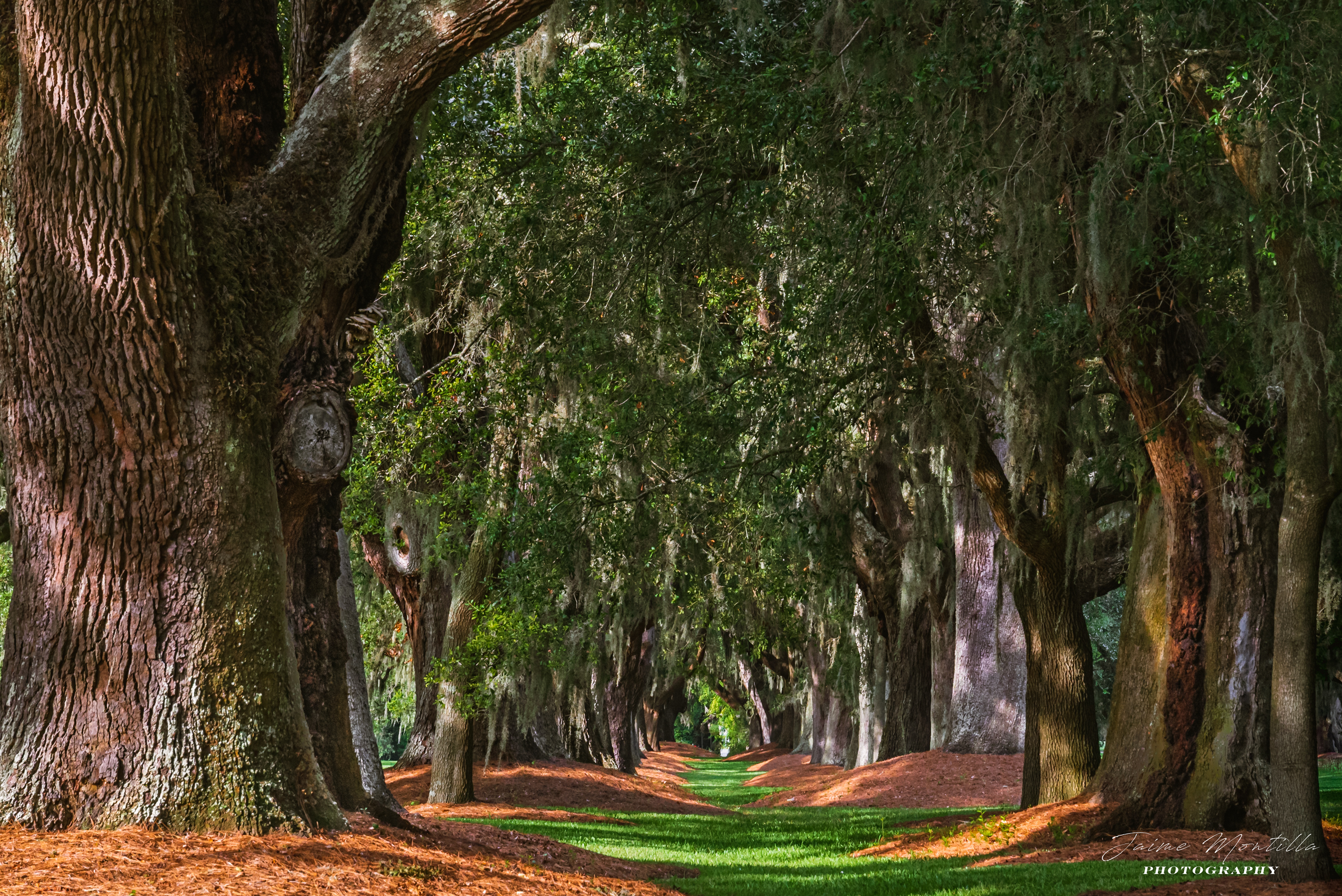 St. Simons Island, GA