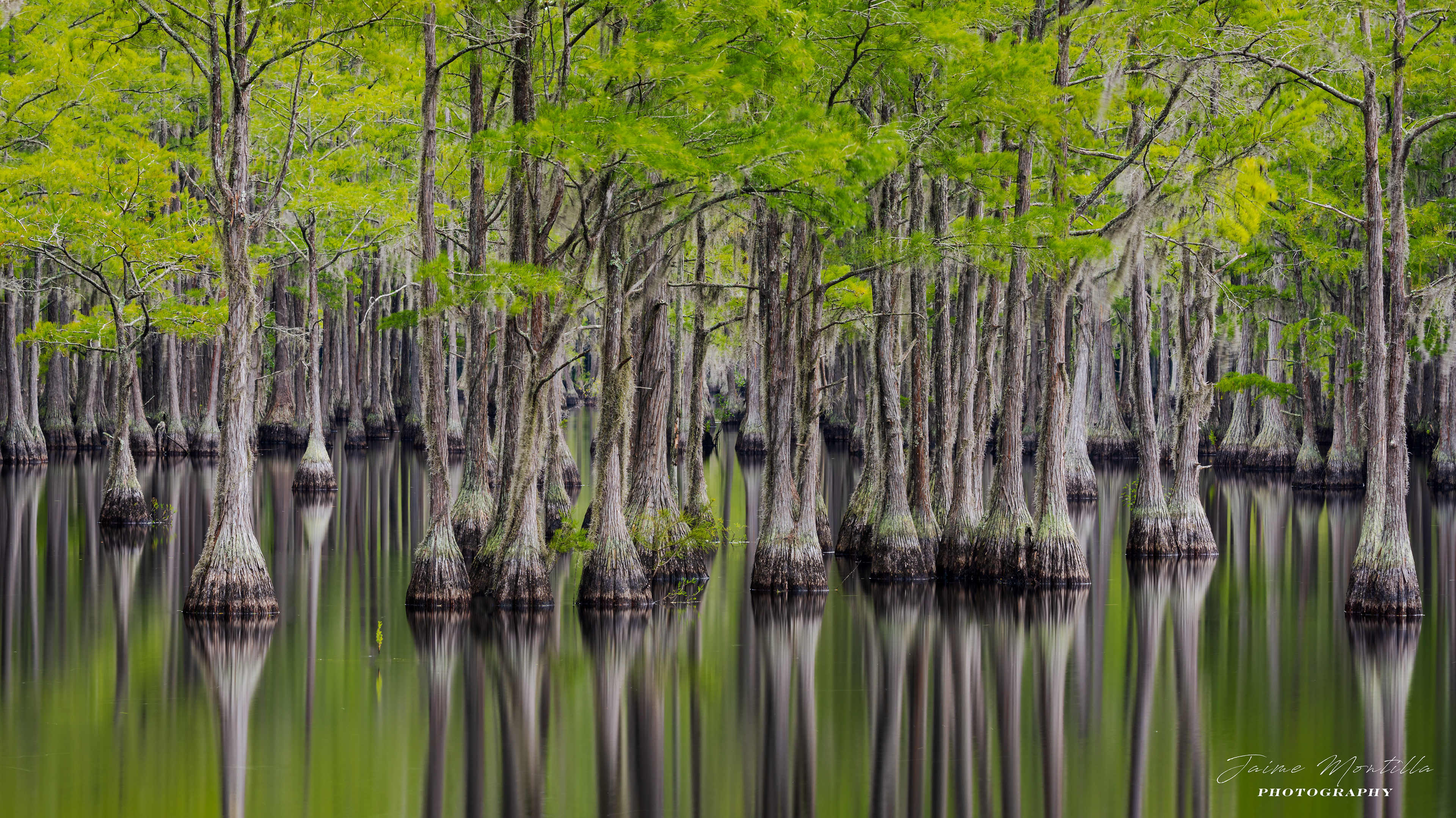 George L Smith SP, GA