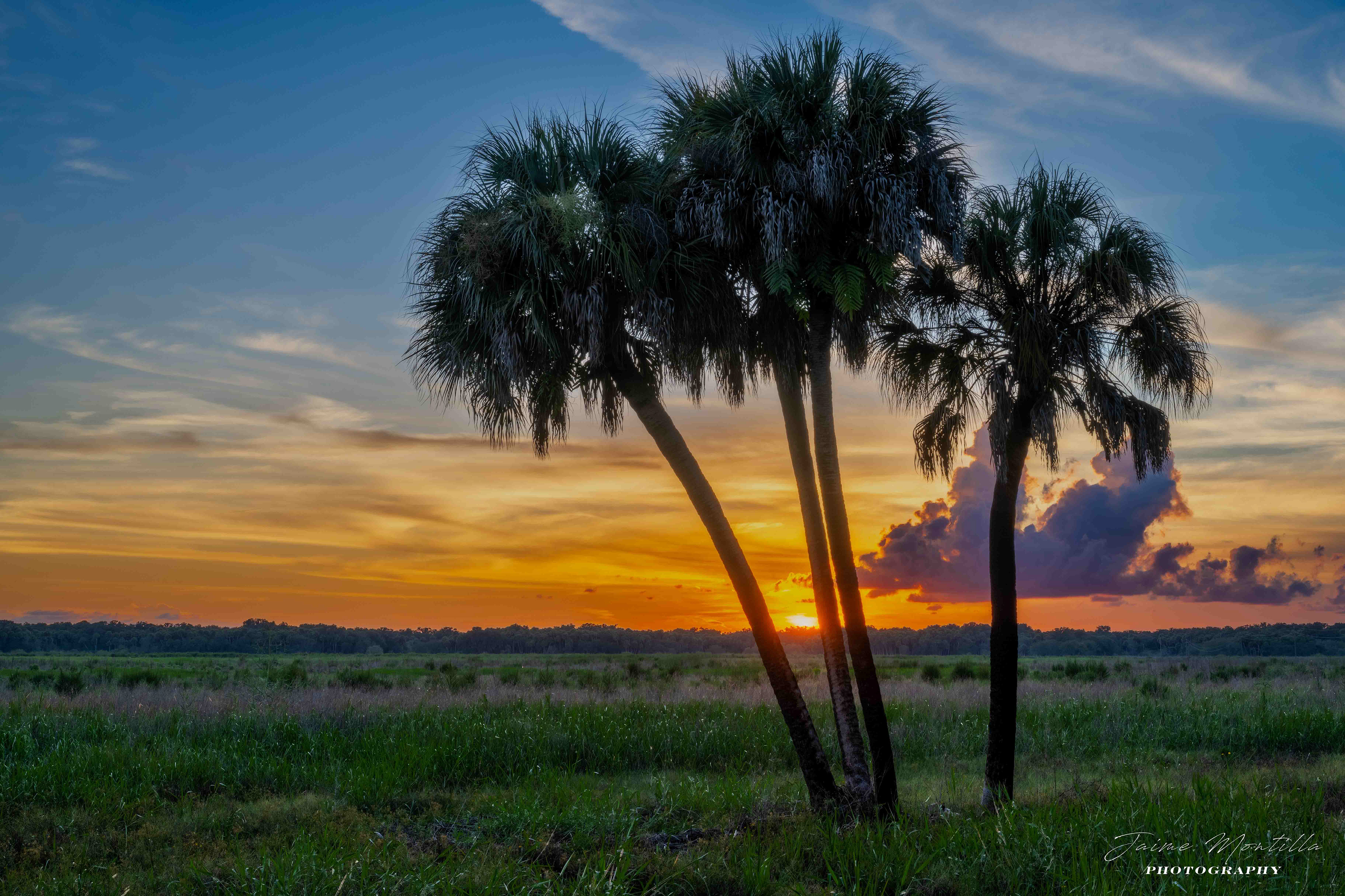 Myakka River SP