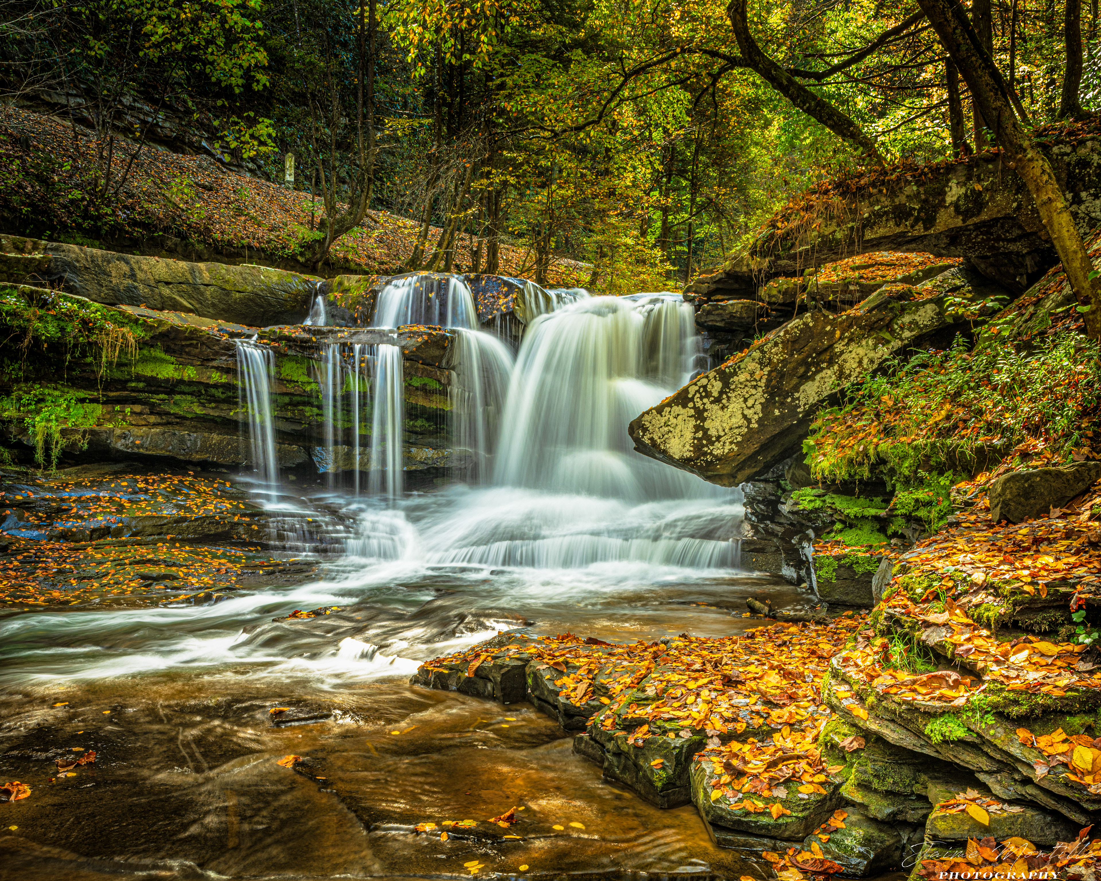 Dunlop Falls