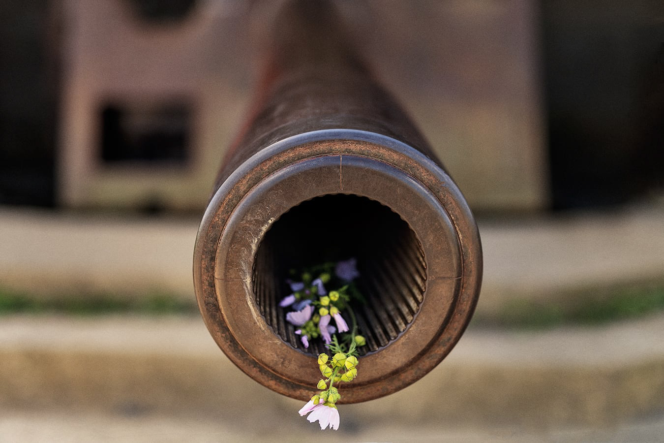 Longues sur mer (Calvados)