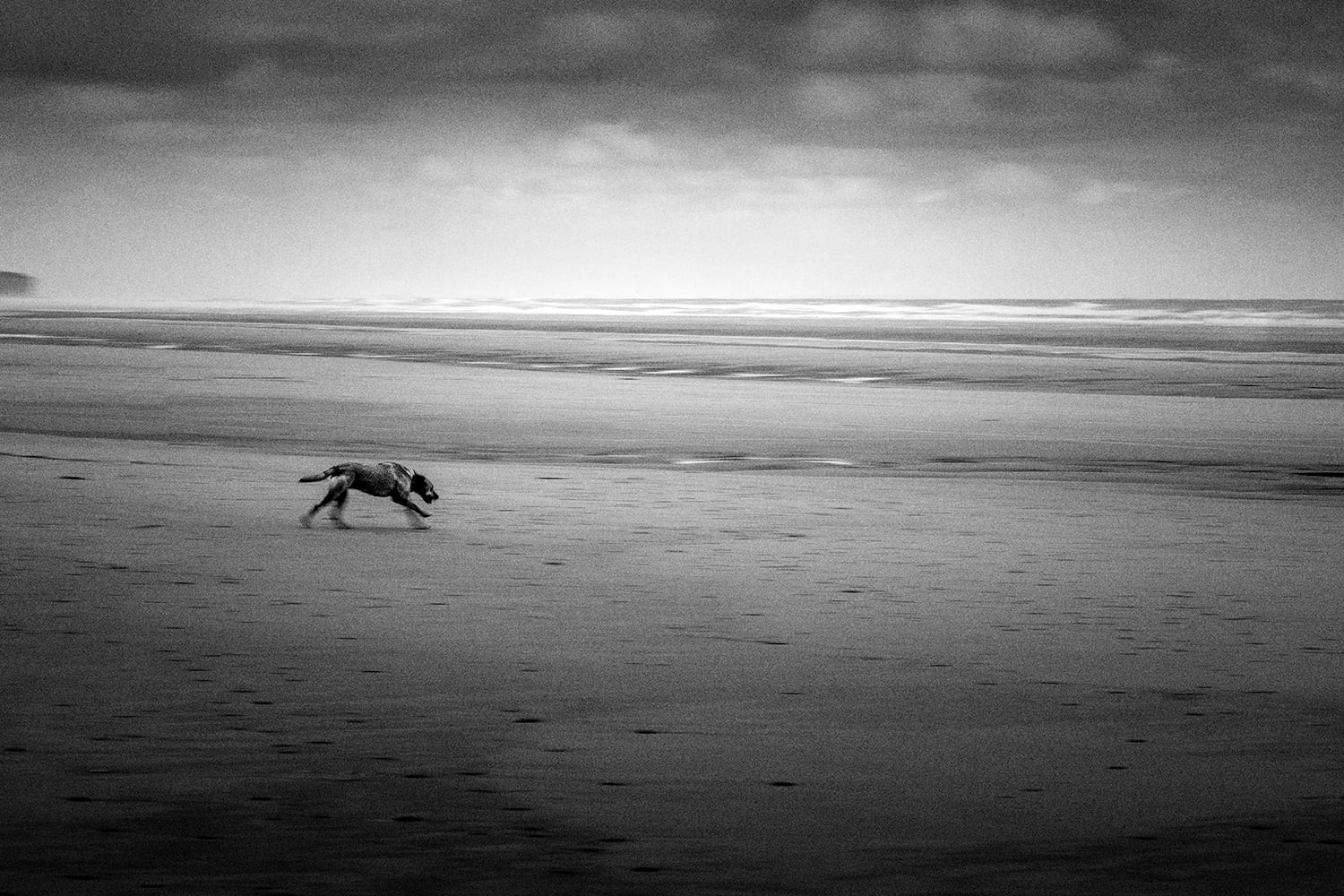 Vierville sur Mer (Calvados)