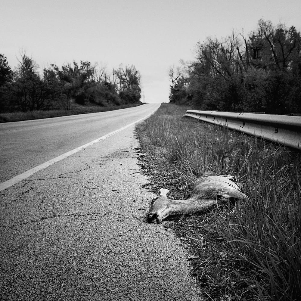 Halltown (Missouri)