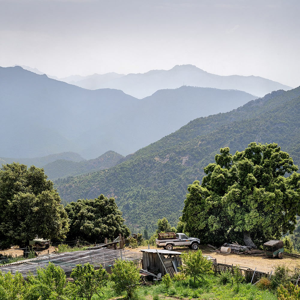 Morosaglia (Haute-Corse)