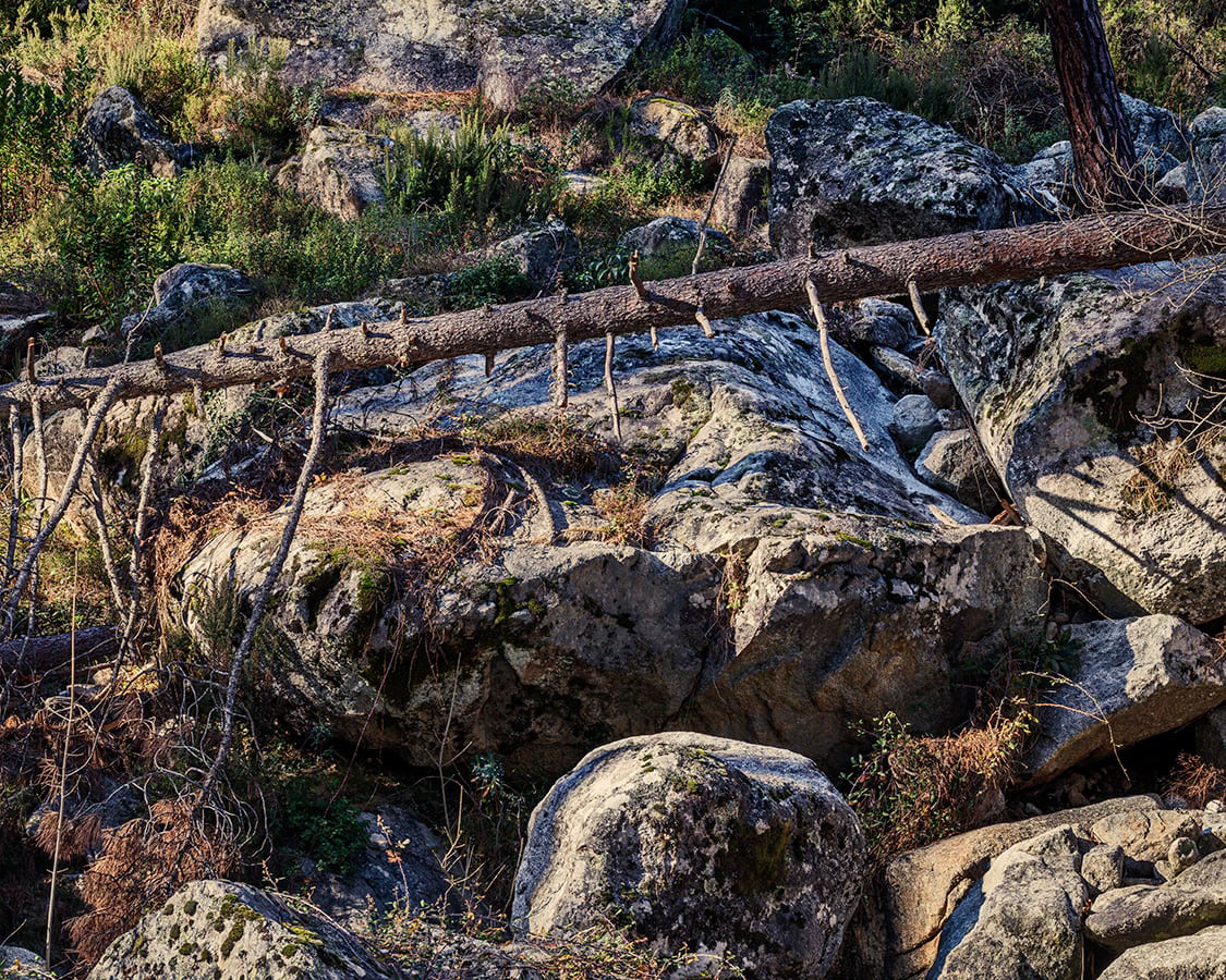 La Restonica (Haute-Corse)