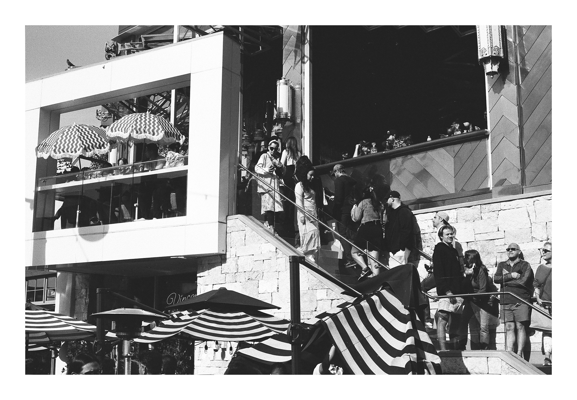 CineStill BWXX +1