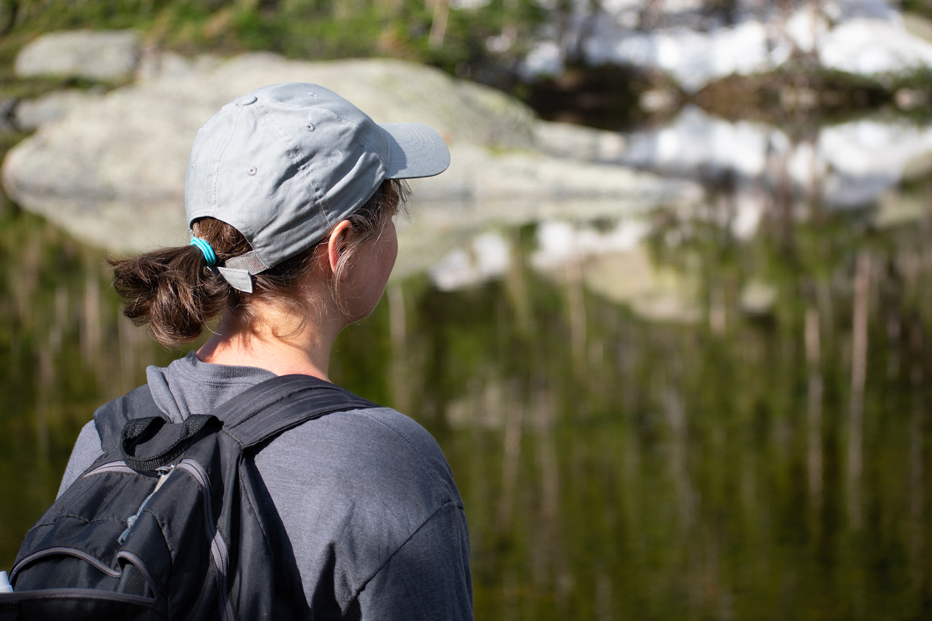 Overlooking Mills Lake