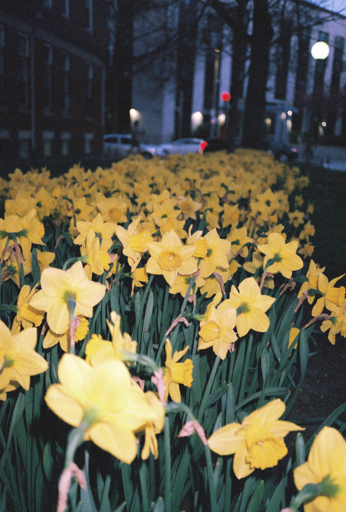 Boston, MA, USA (Fall 2022)