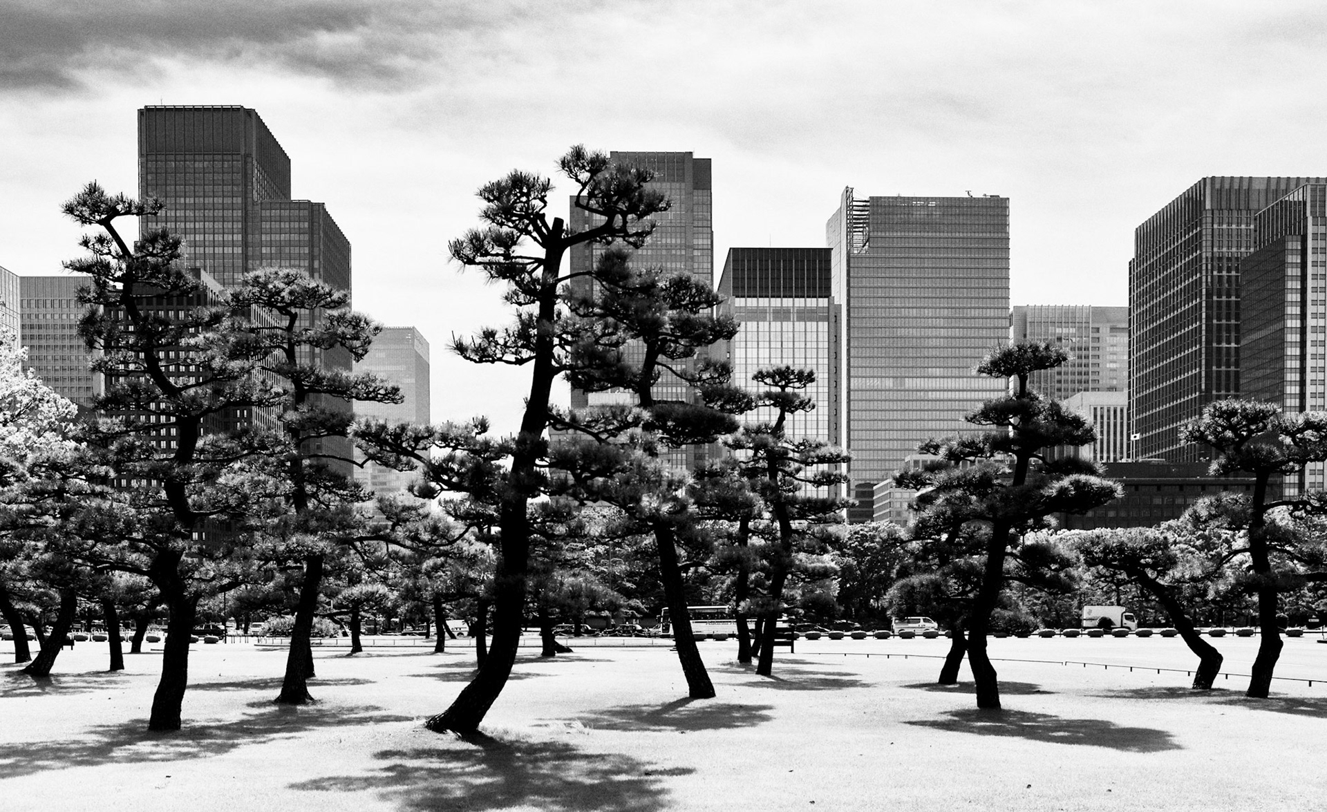 Tokyo, 2015