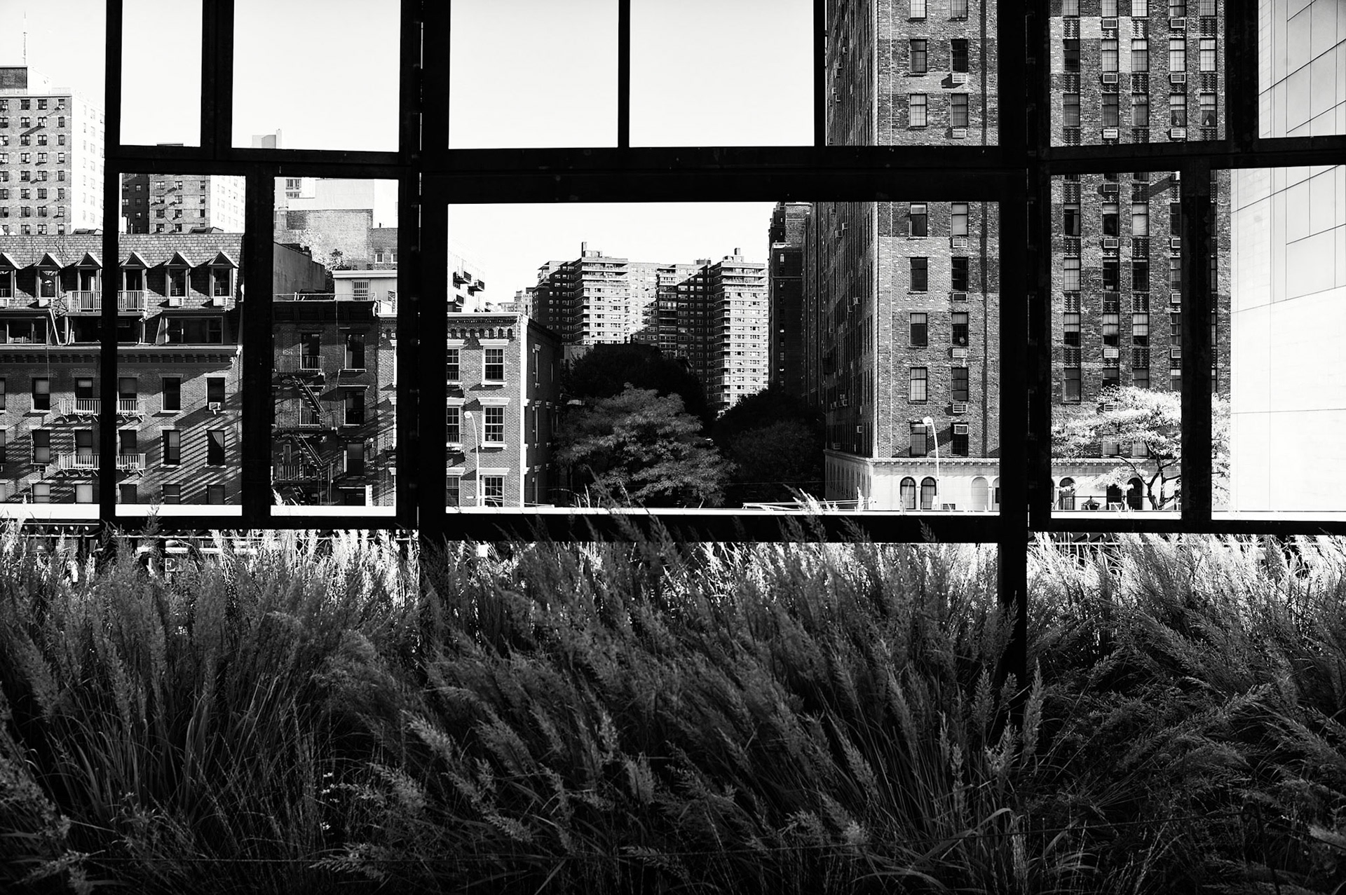 New York, 2015
