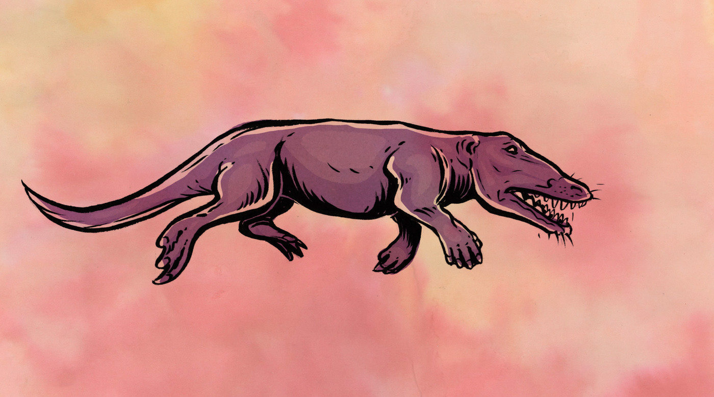 Ambulocetus