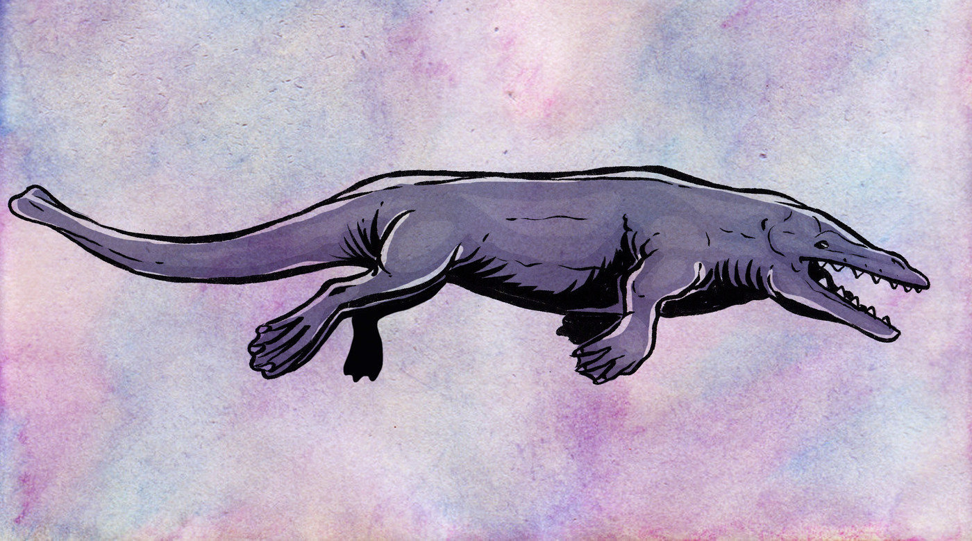 Rodhocetus